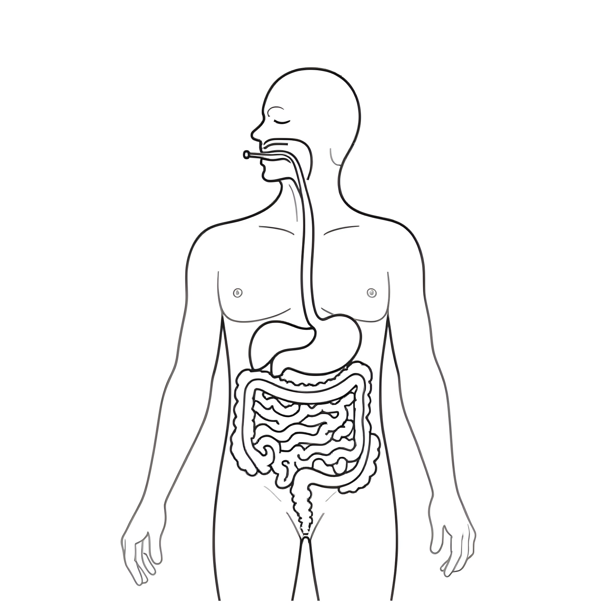 1 Best Catzilla Coloring Pages (Free Printable PDFs)