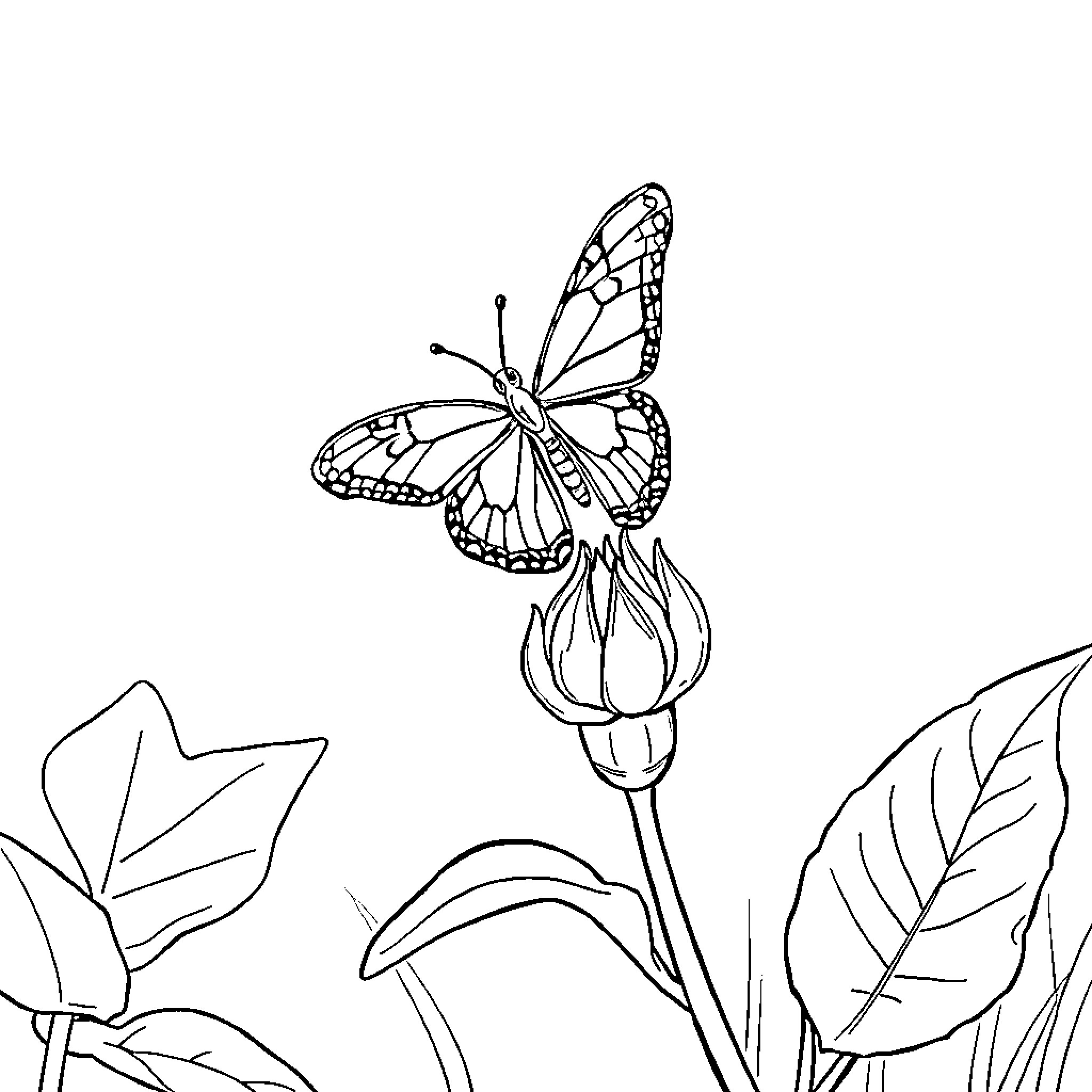 Butterfly resting on a flower Coloring Page (free black-and-white line drawing printable PDF for all, from beginners to advanced learners, including children, teens, adults, and seniors)