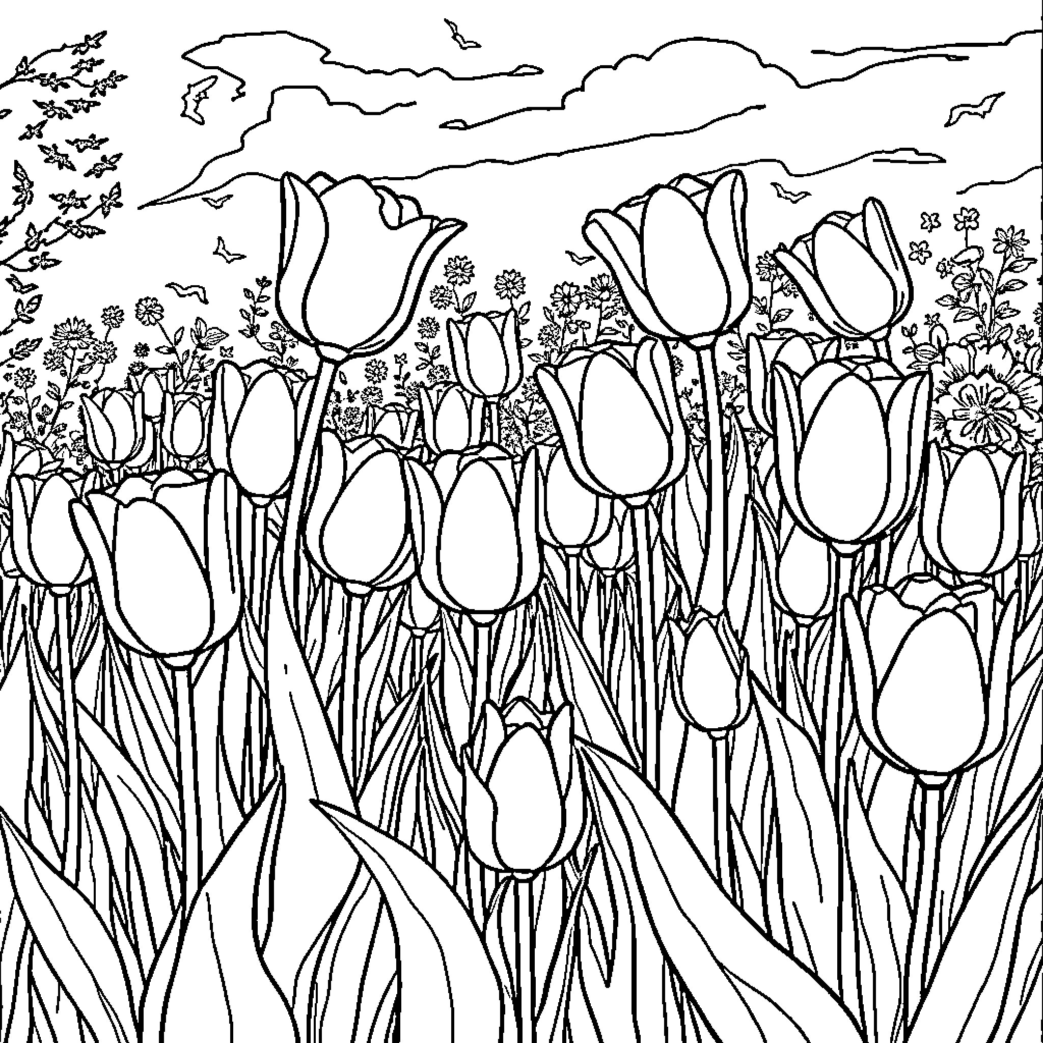 Tulip field in bloom with cloudy sky Coloring Page (free black-and-white line drawing printable PDF for all, from beginners to advanced learners, including children, teens, adults, and seniors)