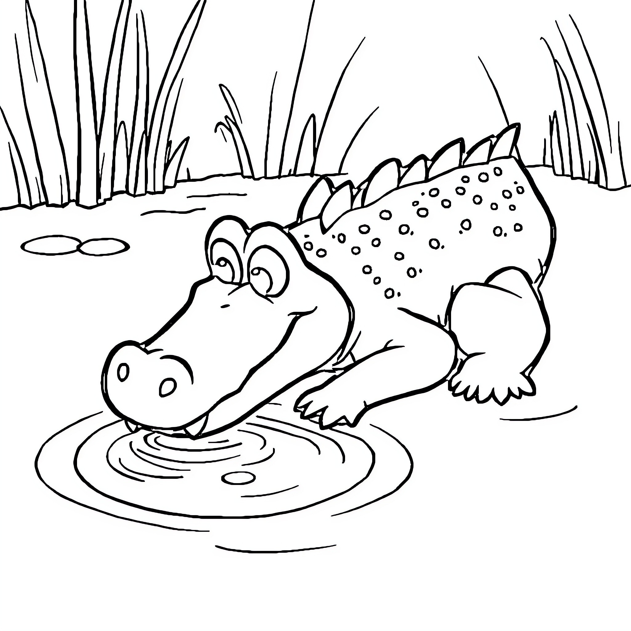 Baby Crocodile Splashing in Pond Coloring Page (free black-and-white line drawing printable PDF for all, from beginners to advanced learners, including children, teens, adults, and seniors)