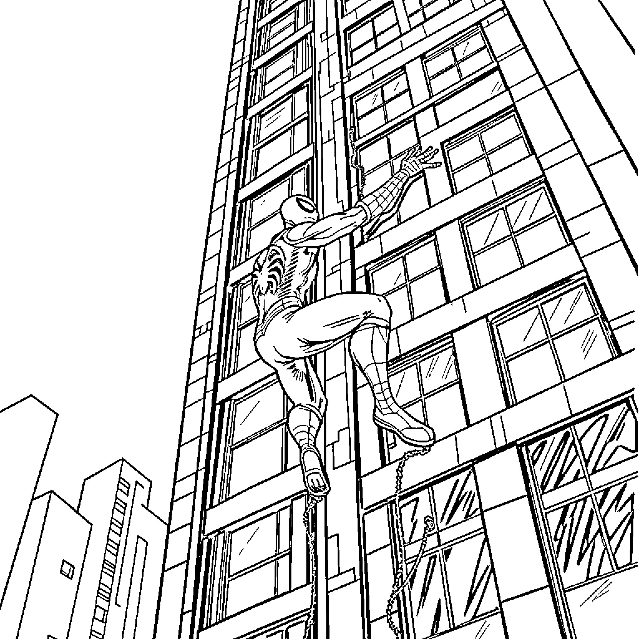 Spiderman scaling city skyscraper in action pose Coloring Page (free black-and-white line drawing printable PDF for all, from beginners to advanced learners, including children, teens, adults, and seniors)