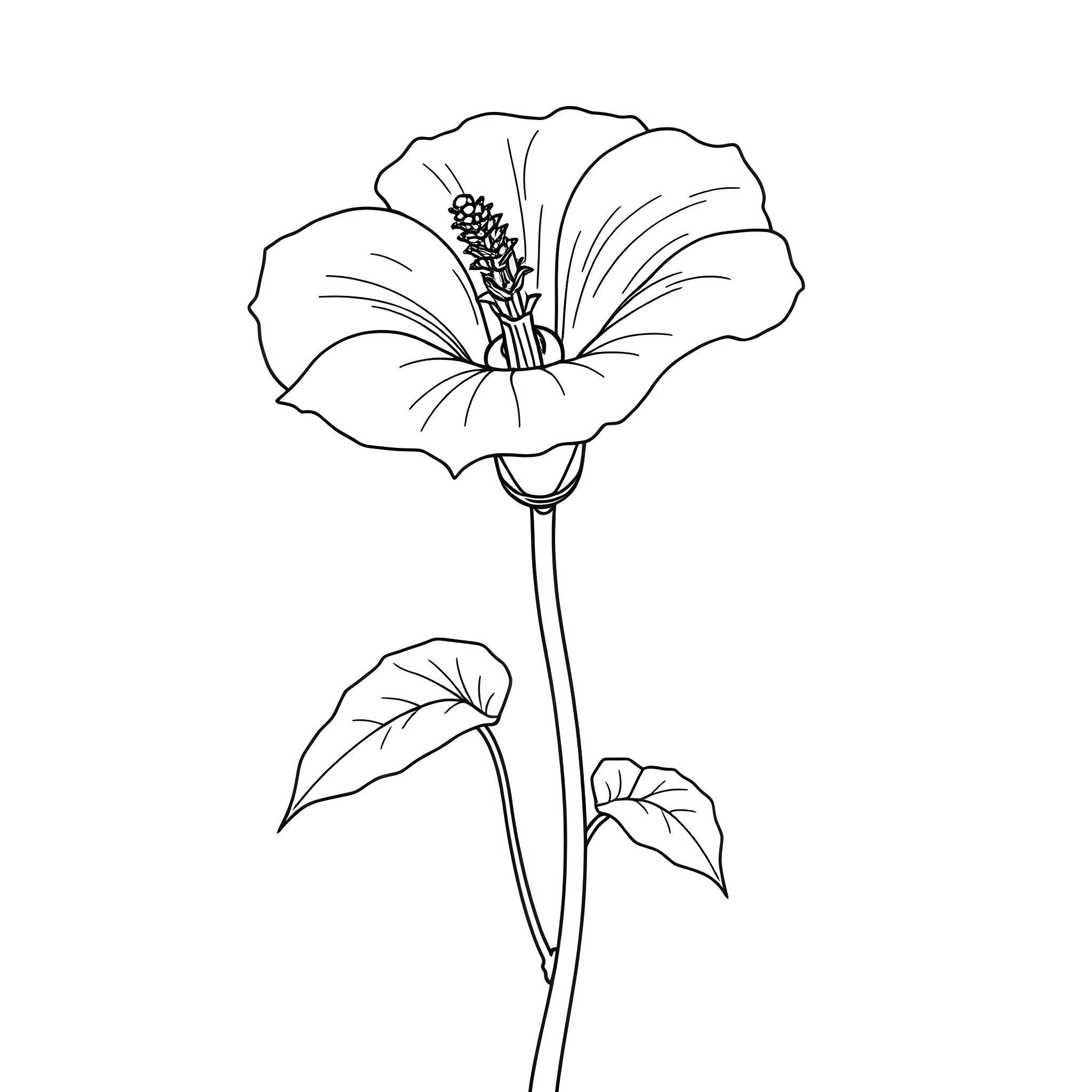 Ipomoea flower in black and white Coloring Page (free black-and-white line drawing printable PDF for all, from beginners to advanced learners, including children, teens, adults, and seniors)