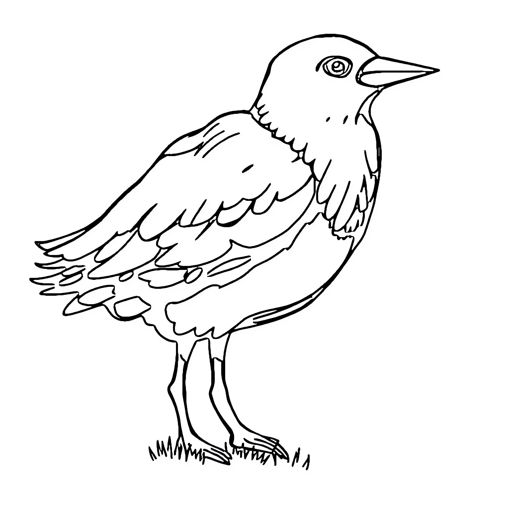 Unknown bird with detailed feathers Coloring Page (free black-and-white line drawing printable PDF for all, from beginners to advanced learners, including children, teens, adults, and seniors)