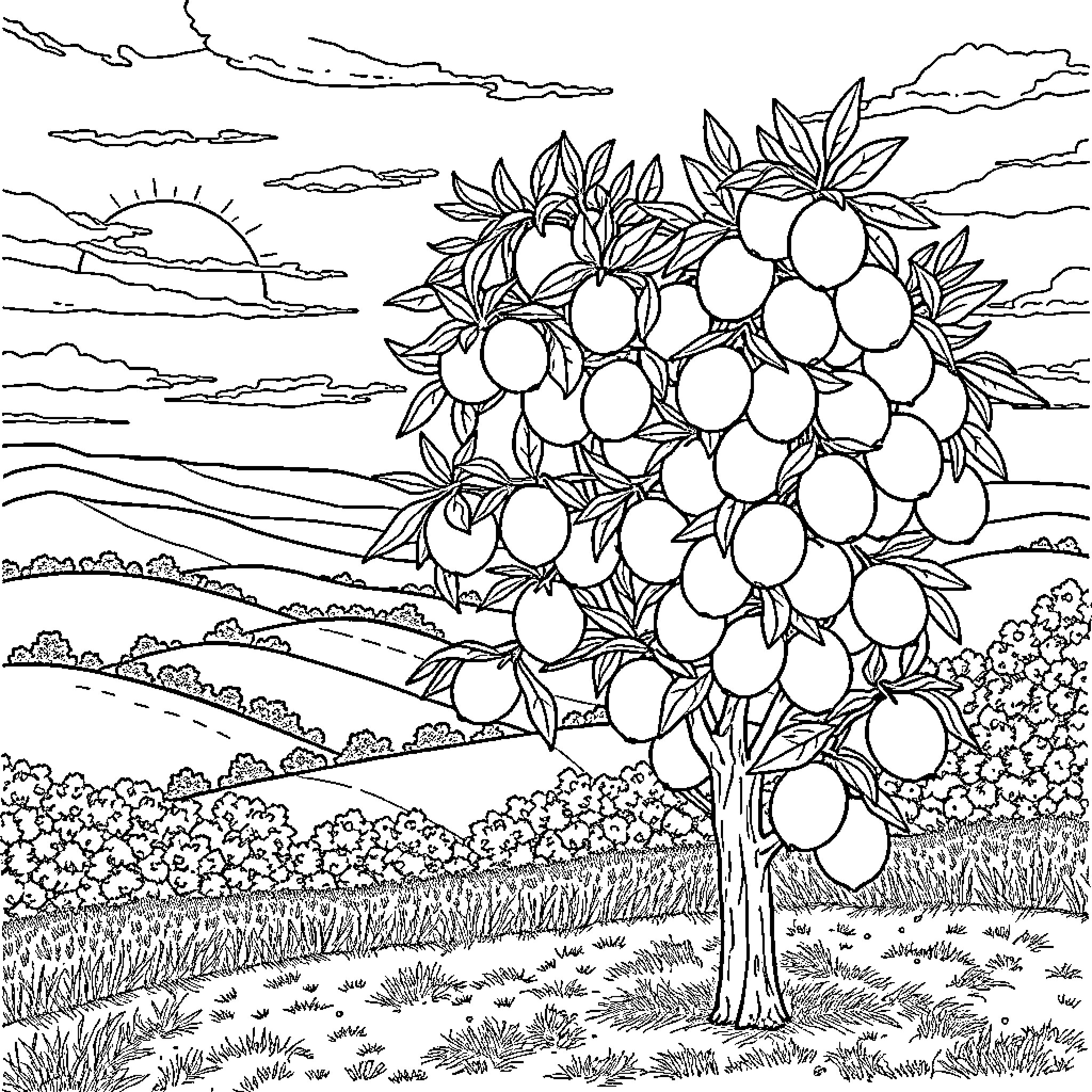 Lemon tree in a scenic landscape Coloring Page (free black-and-white line drawing printable PDF for all, from beginners to advanced learners, including children, teens, adults, and seniors)