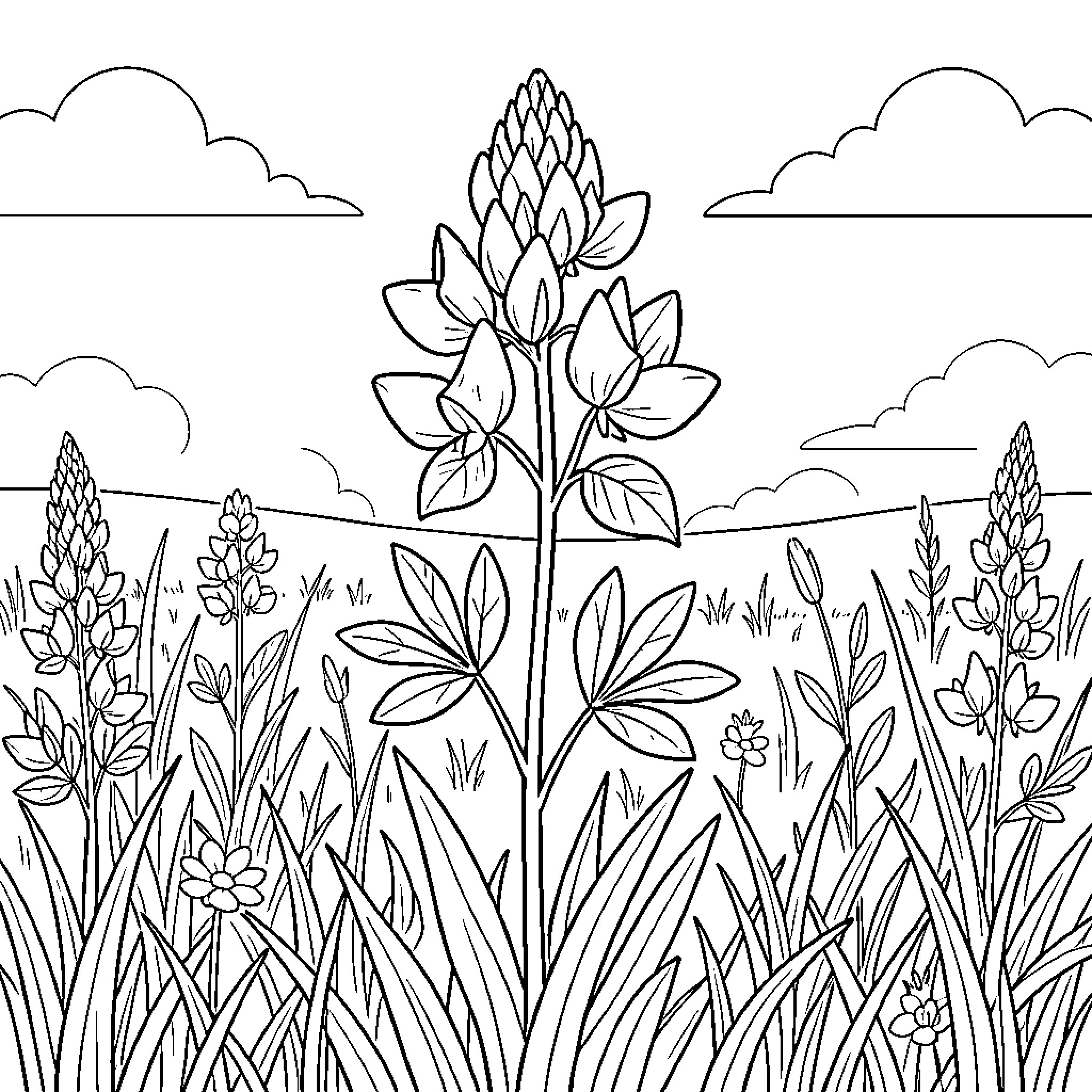 Bluebonnet field with blossoming flowers Coloring Page (free black-and-white line drawing printable PDF for all, from beginners to advanced learners, including children, teens, adults, and seniors)