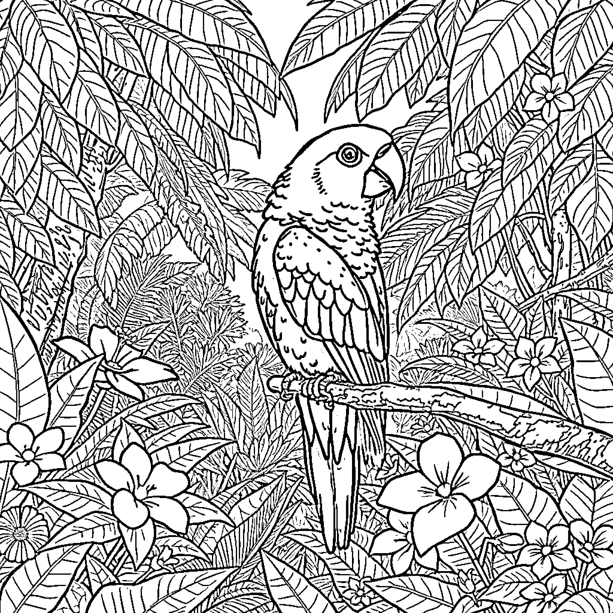 Parrot perched amidst lush tropical foliage Coloring Page (free black-and-white line drawing printable PDF for all, from beginners to advanced learners, including children, teens, adults, and seniors)