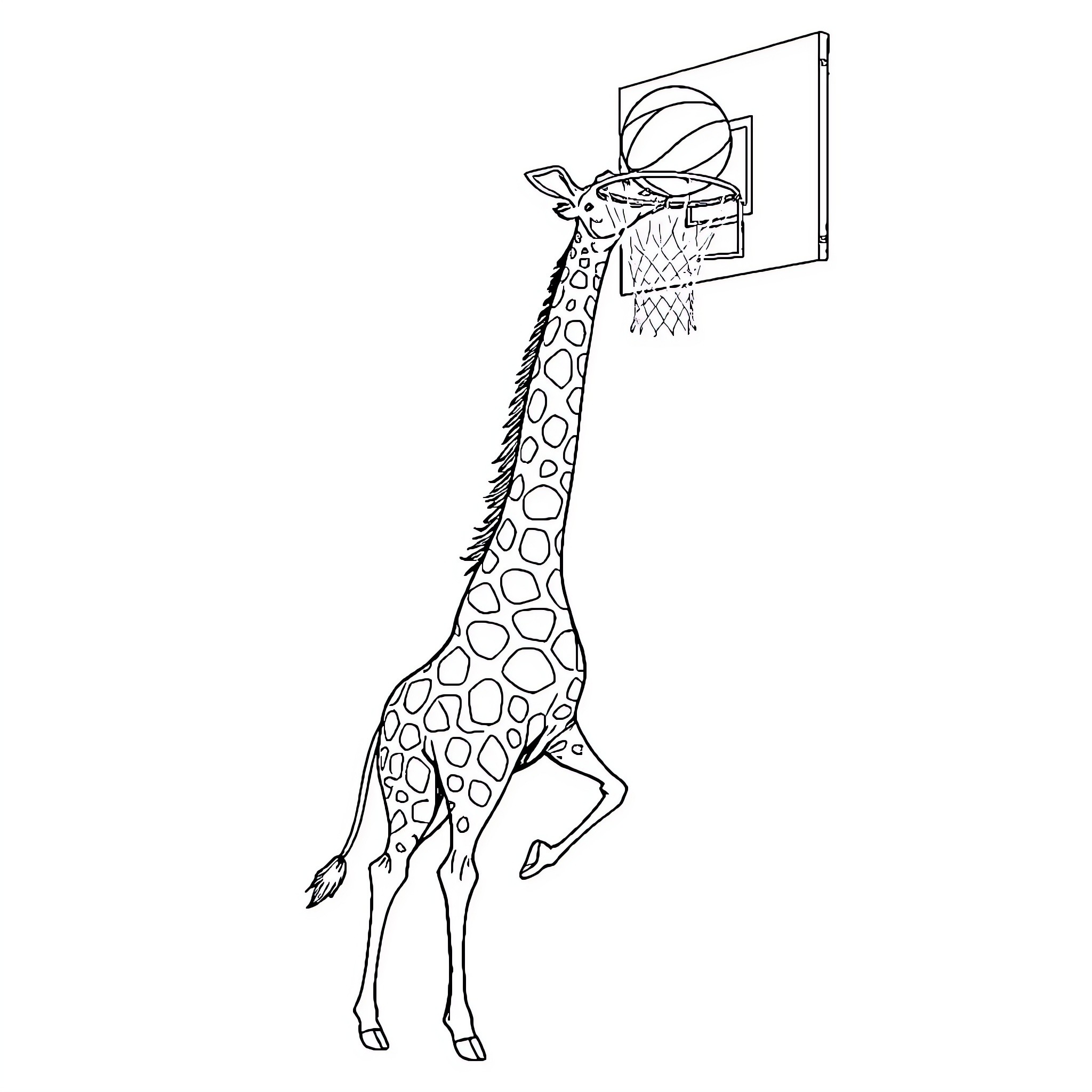 Giraffe playing basketball Coloring Page (free black-and-white line drawing printable PDF for all, from beginners to advanced learners, including children, teens, adults, and seniors)