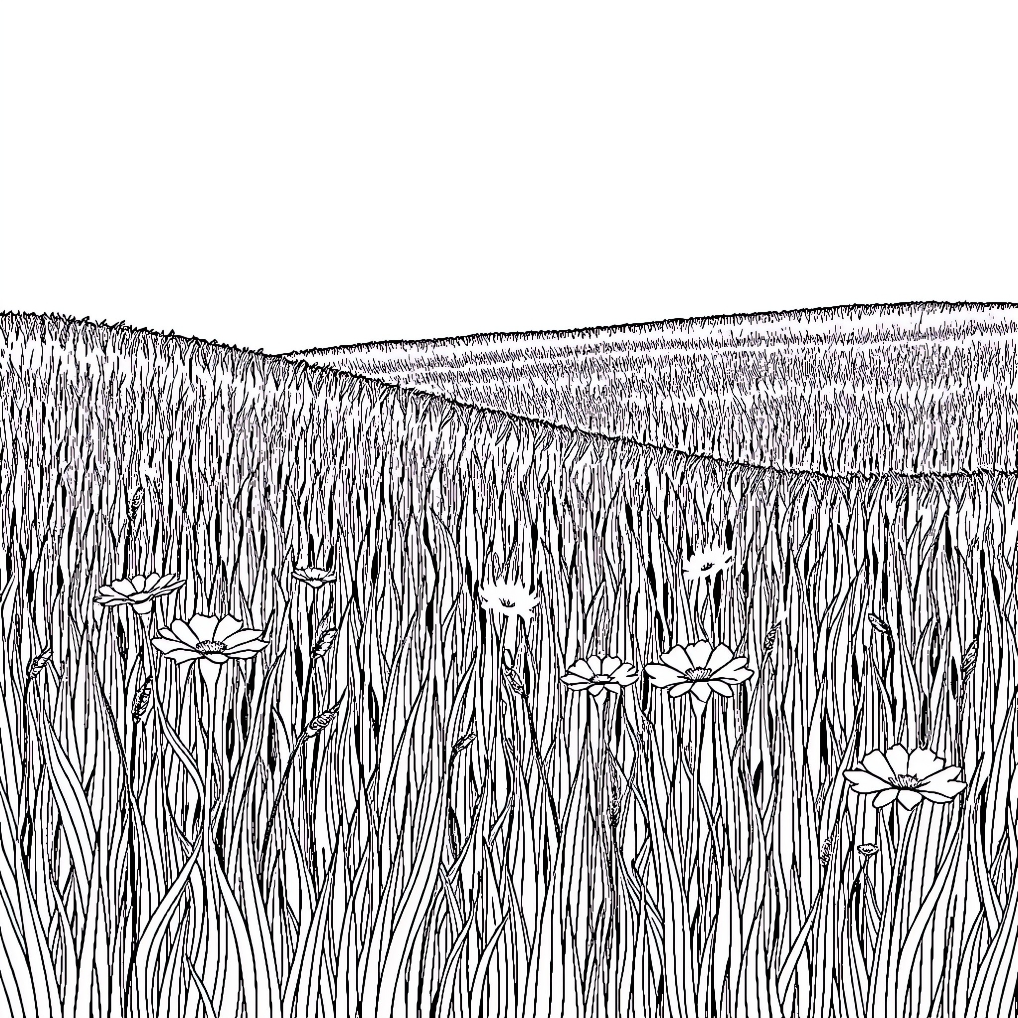 Field of Wildflowers Blooming in the Meadow Coloring Page (free black-and-white line drawing printable PDF for all, from beginners to advanced learners, including children, teens, adults, and seniors)