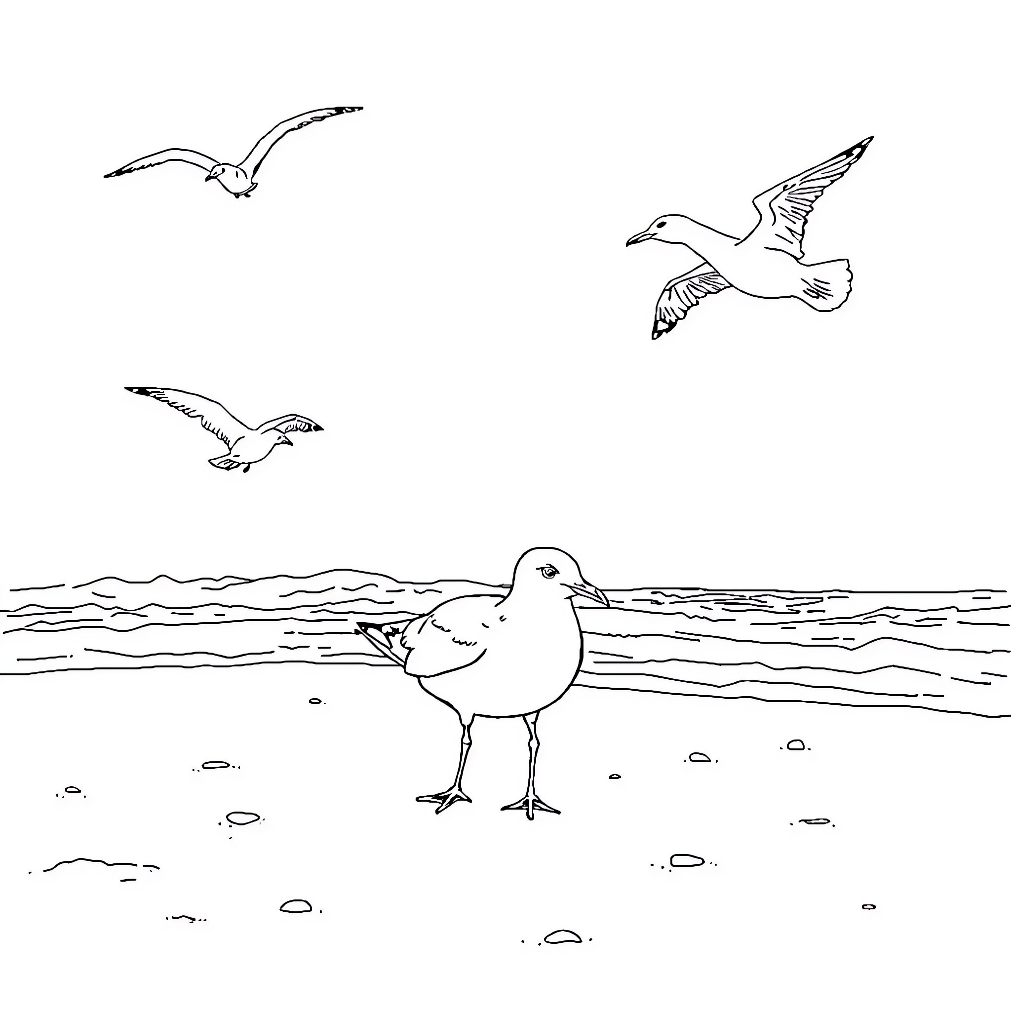 Seagulls soaring and perching by the ocean Coloring Page (free black-and-white line drawing printable PDF for all, from beginners to advanced learners, including children, teens, adults, and seniors)