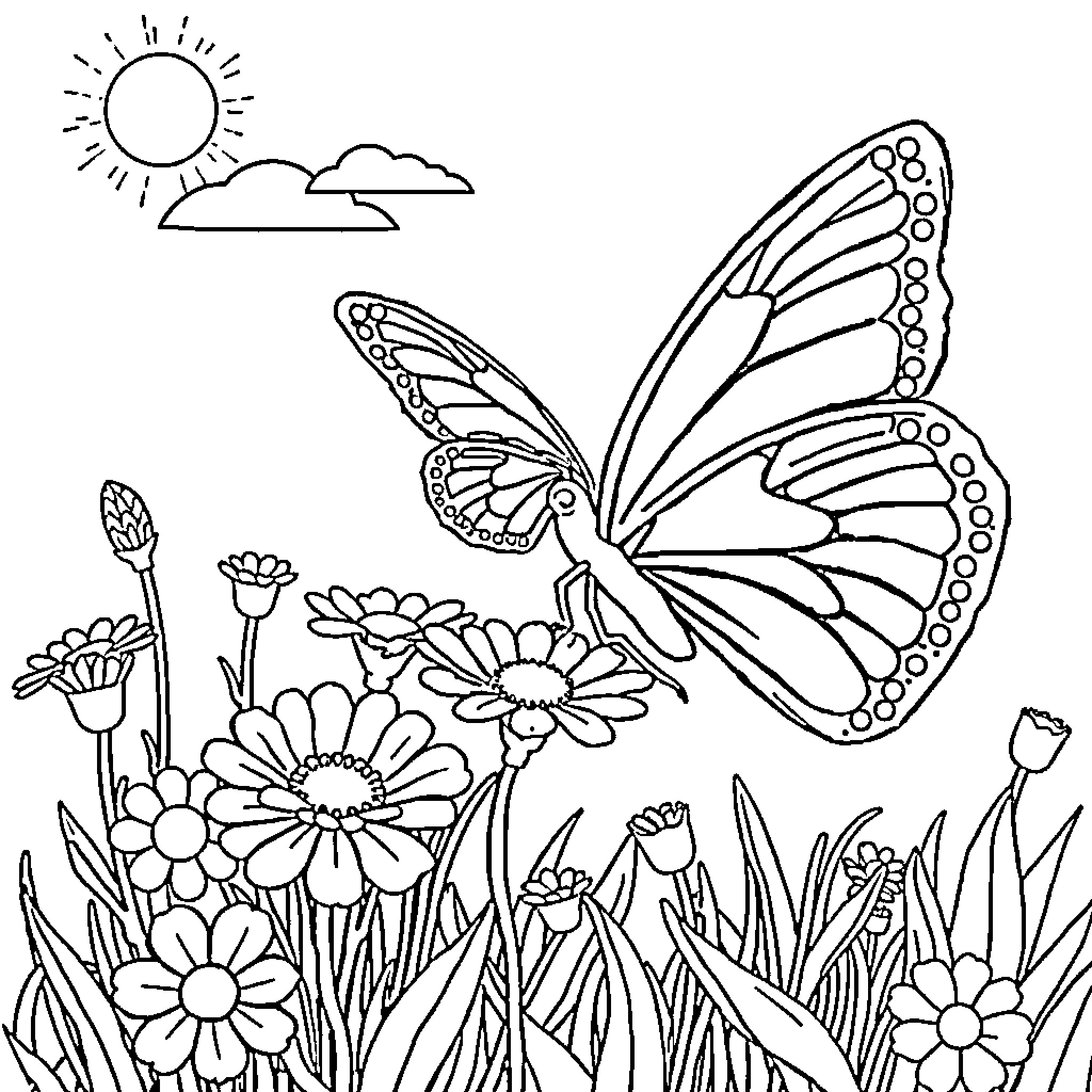 Butterfly exploring a floral garden Coloring Page (free black-and-white line drawing printable PDF for all, from beginners to advanced learners, including children, teens, adults, and seniors)