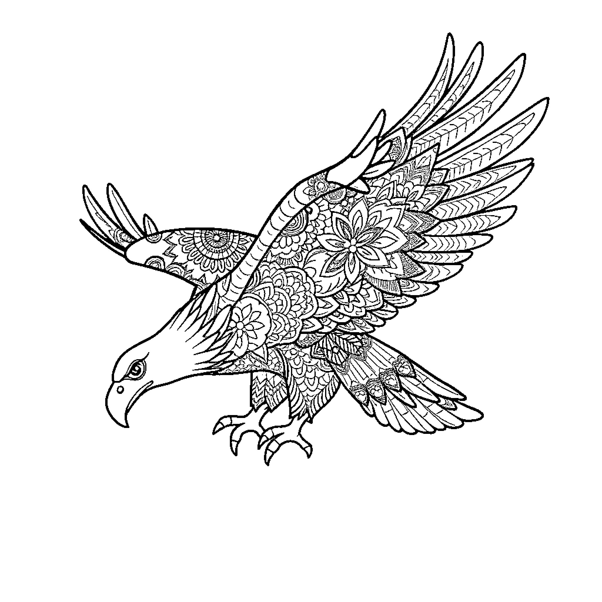 Eagle in Flight with Ornate Patterns Coloring Page (free black-and-white line drawing printable PDF for all, from beginners to advanced learners, including children, teens, adults, and seniors)