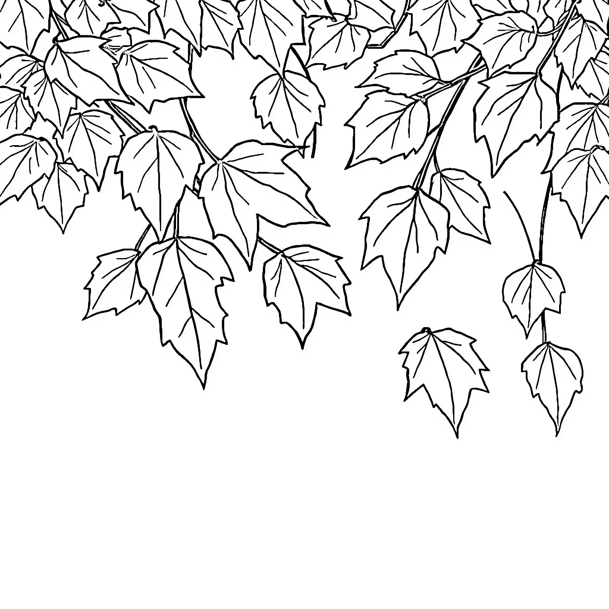 Fall Foliage Silhouette on White Background Coloring Page (free black-and-white line drawing printable PDF for all, from beginners to advanced learners, including children, teens, adults, and seniors)