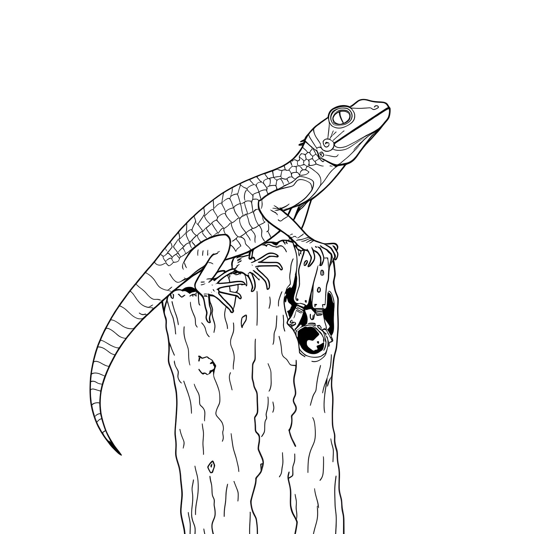 Emerald Tree Skink perched on tree trunk Coloring Page (free black-and-white line drawing printable PDF for all, from beginners to advanced learners, including children, teens, adults, and seniors)