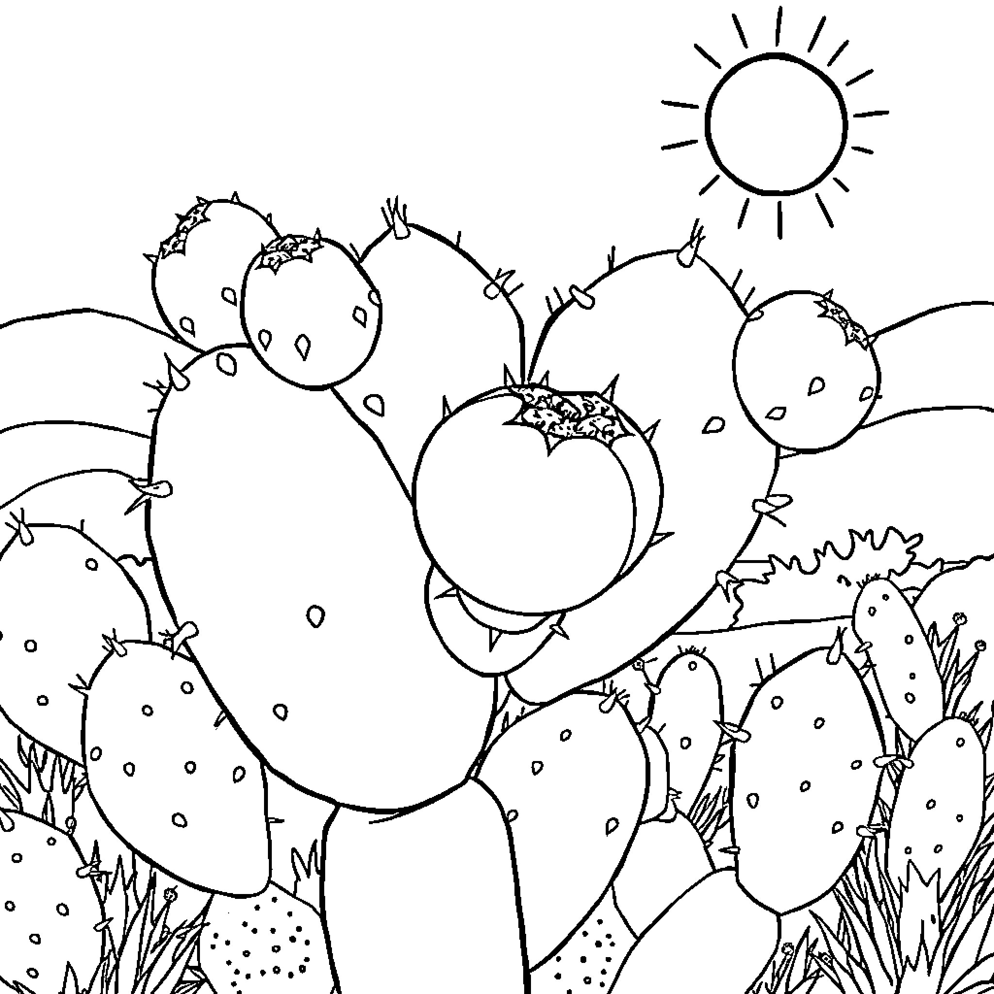 Cactus landscape with sun Coloring Page (free black-and-white line drawing printable PDF for all, from beginners to advanced learners, including children, teens, adults, and seniors)