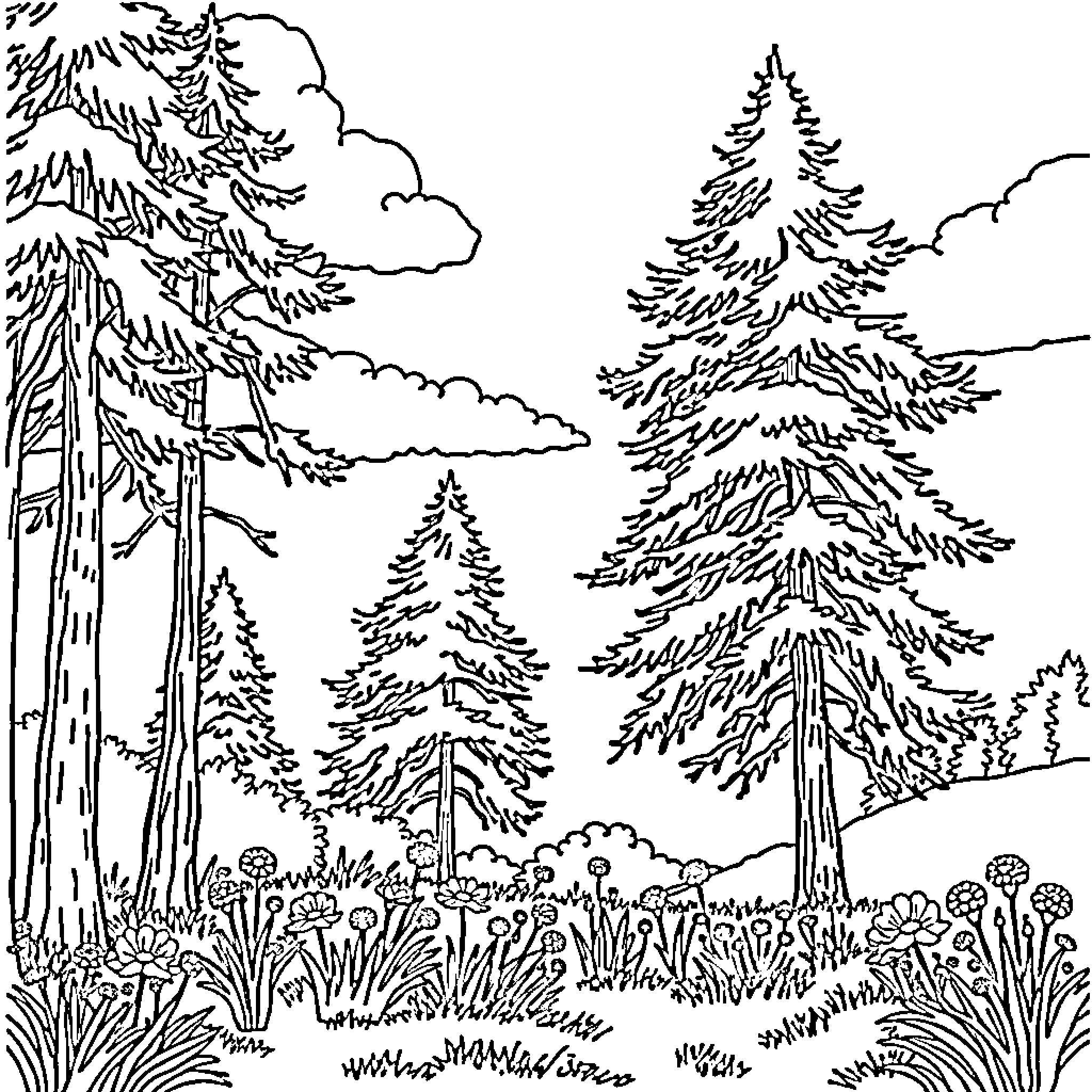 Nature's Serene Forest Landscape Coloring Page (free black-and-white line drawing printable PDF for all, from beginners to advanced learners, including children, teens, adults, and seniors)