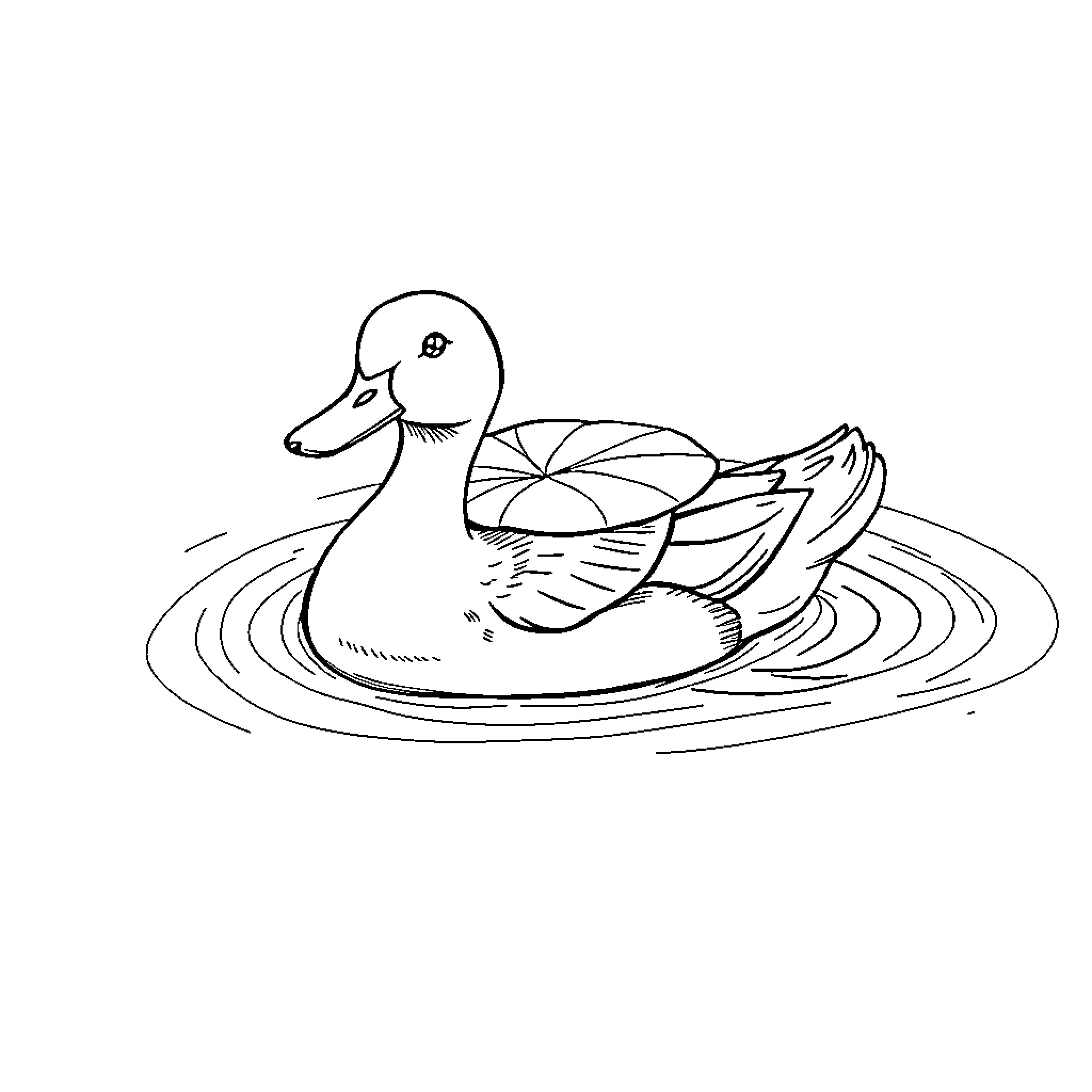 Duck swimming peacefully in the water Coloring Page (free black-and-white line drawing printable PDF for all, from beginners to advanced learners, including children, teens, adults, and seniors)