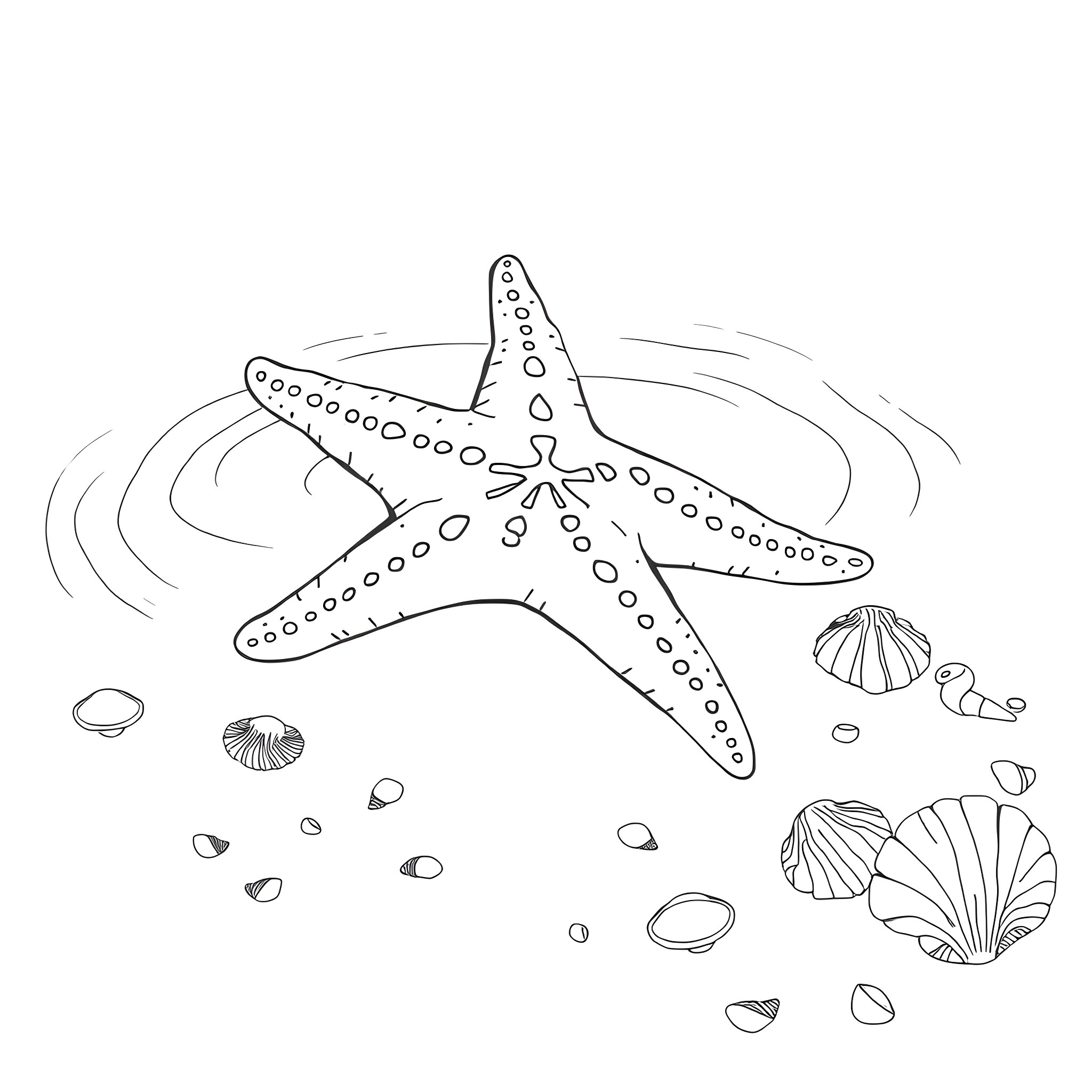 Starfish swimming among seashells in the ocean Coloring Page (free black-and-white line drawing printable PDF for all, from beginners to advanced learners, including children, teens, adults, and seniors)