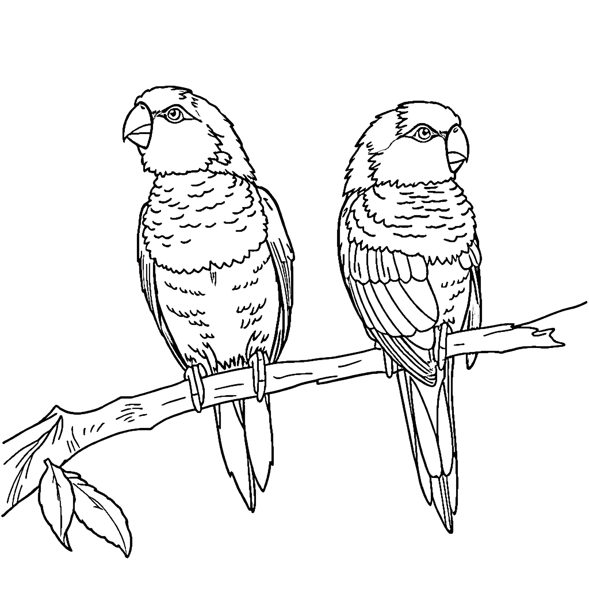 Tropical Tit-Bits: Parrots Perched in Paradise Coloring Page (free black-and-white line drawing printable PDF for all, from beginners to advanced learners, including children, teens, adults, and seniors)