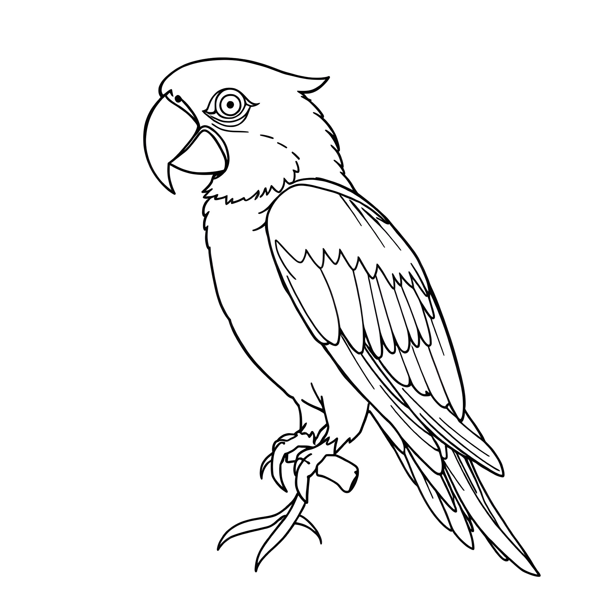 Parrot with detailed feathers perched on branch Coloring Page (free black-and-white line drawing printable PDF for all, from beginners to advanced learners, including children, teens, adults, and seniors)