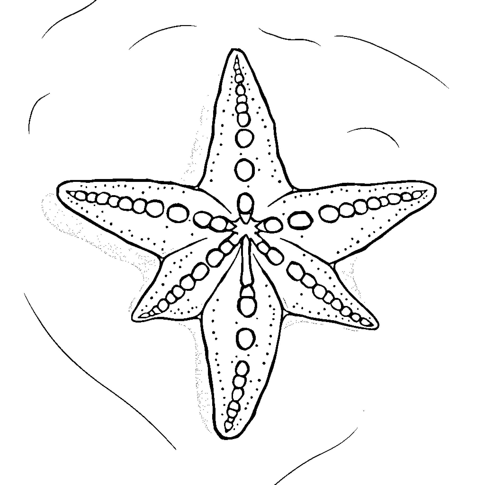Sea Star Resting in the Ocean Coloring Page (free black-and-white line drawing printable PDF for all, from beginners to advanced learners, including children, teens, adults, and seniors)