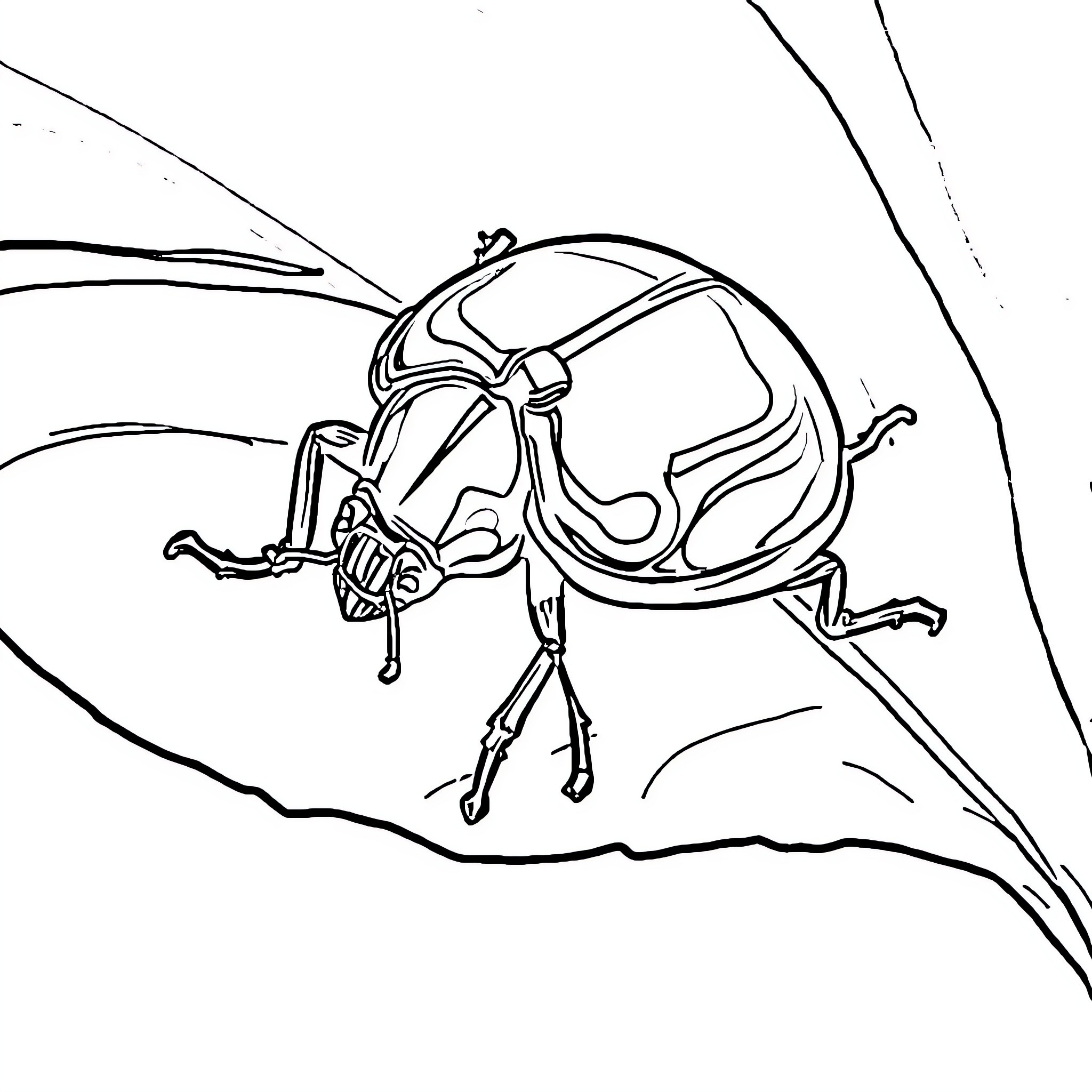 Beetle crawling along the surface Coloring Page (free black-and-white line drawing printable PDF for all, from beginners to advanced learners, including children, teens, adults, and seniors)