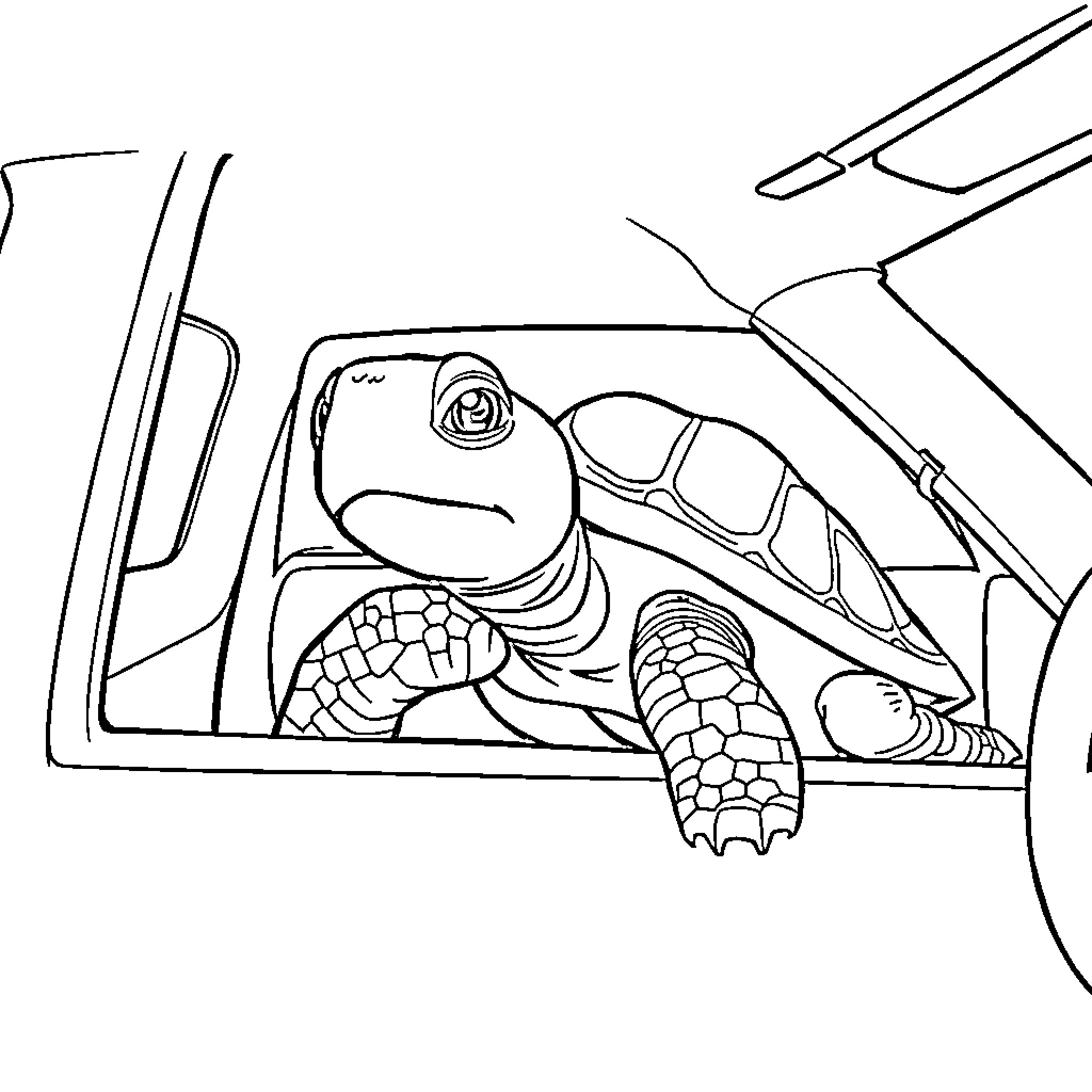 Turtle exploring the vehicle Coloring Page (free black-and-white line drawing printable PDF for all, from beginners to advanced learners, including children, teens, adults, and seniors)