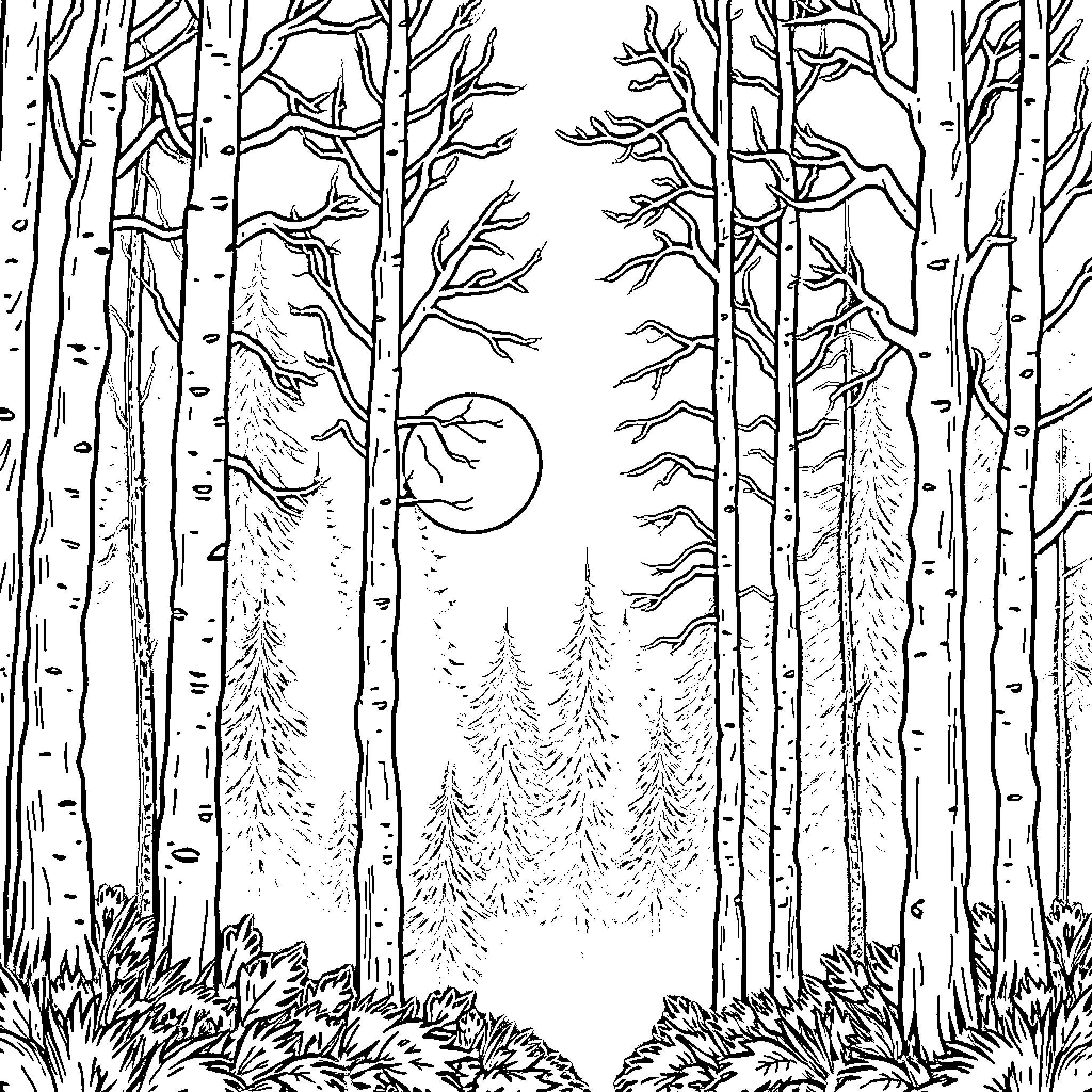 Forest Landscape with Moonlight and Tall Trees Coloring Page (free black-and-white line drawing printable PDF for all, from beginners to advanced learners, including children, teens, adults, and seniors)