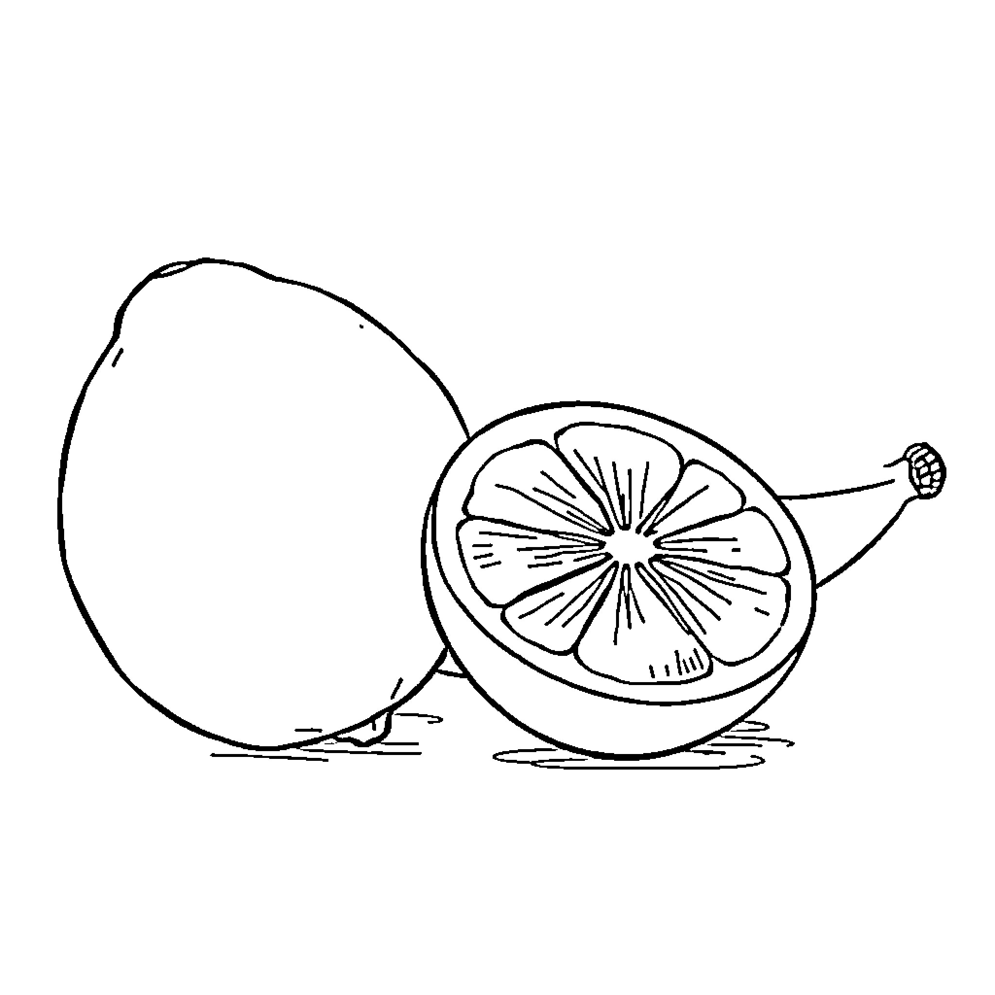 Lemon sliced in half on a surface Coloring Page (free black-and-white line drawing printable PDF for all, from beginners to advanced learners, including children, teens, adults, and seniors)