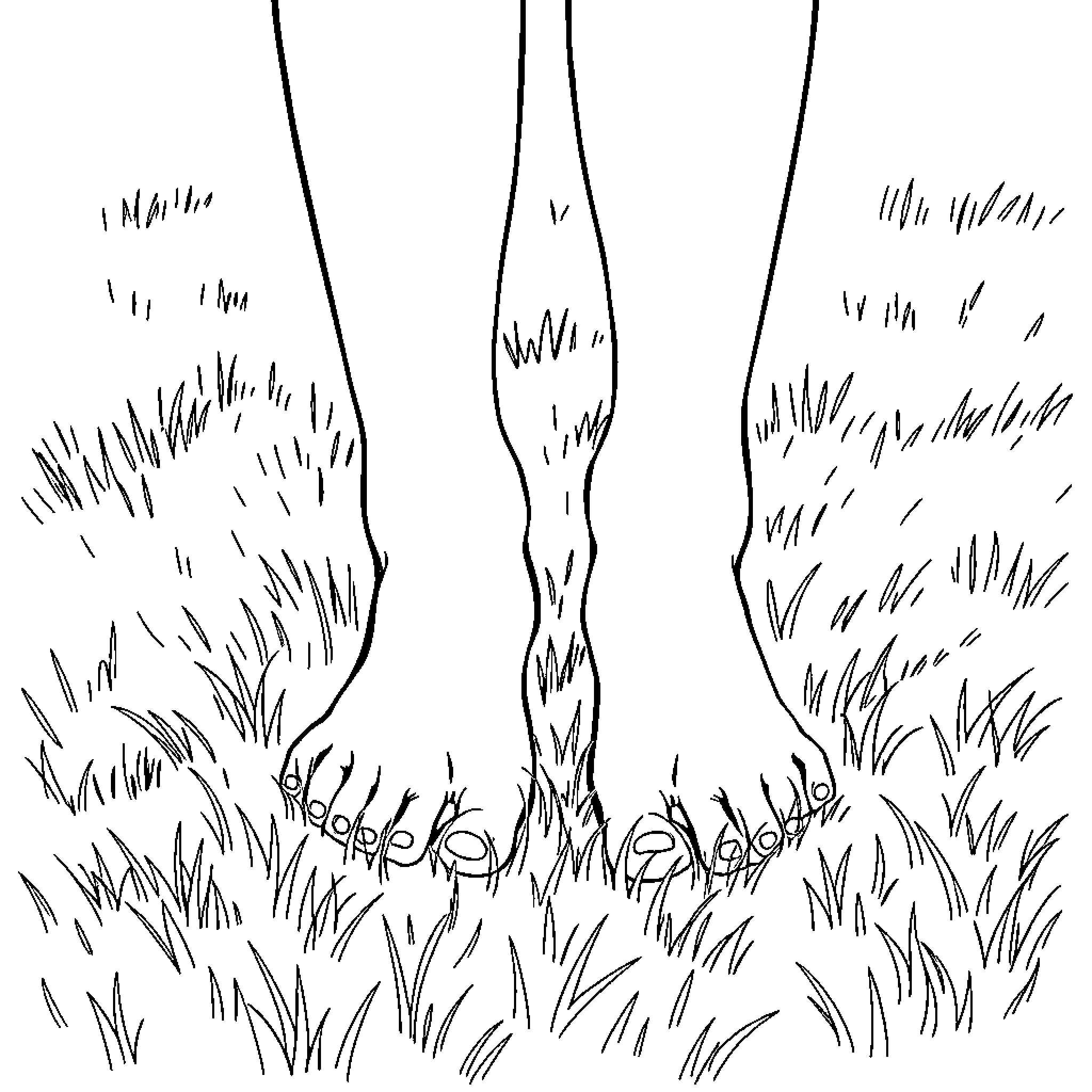 Feet walking through tall grass Coloring Page (free black-and-white line drawing printable PDF for all, from beginners to advanced learners, including children, teens, adults, and seniors)