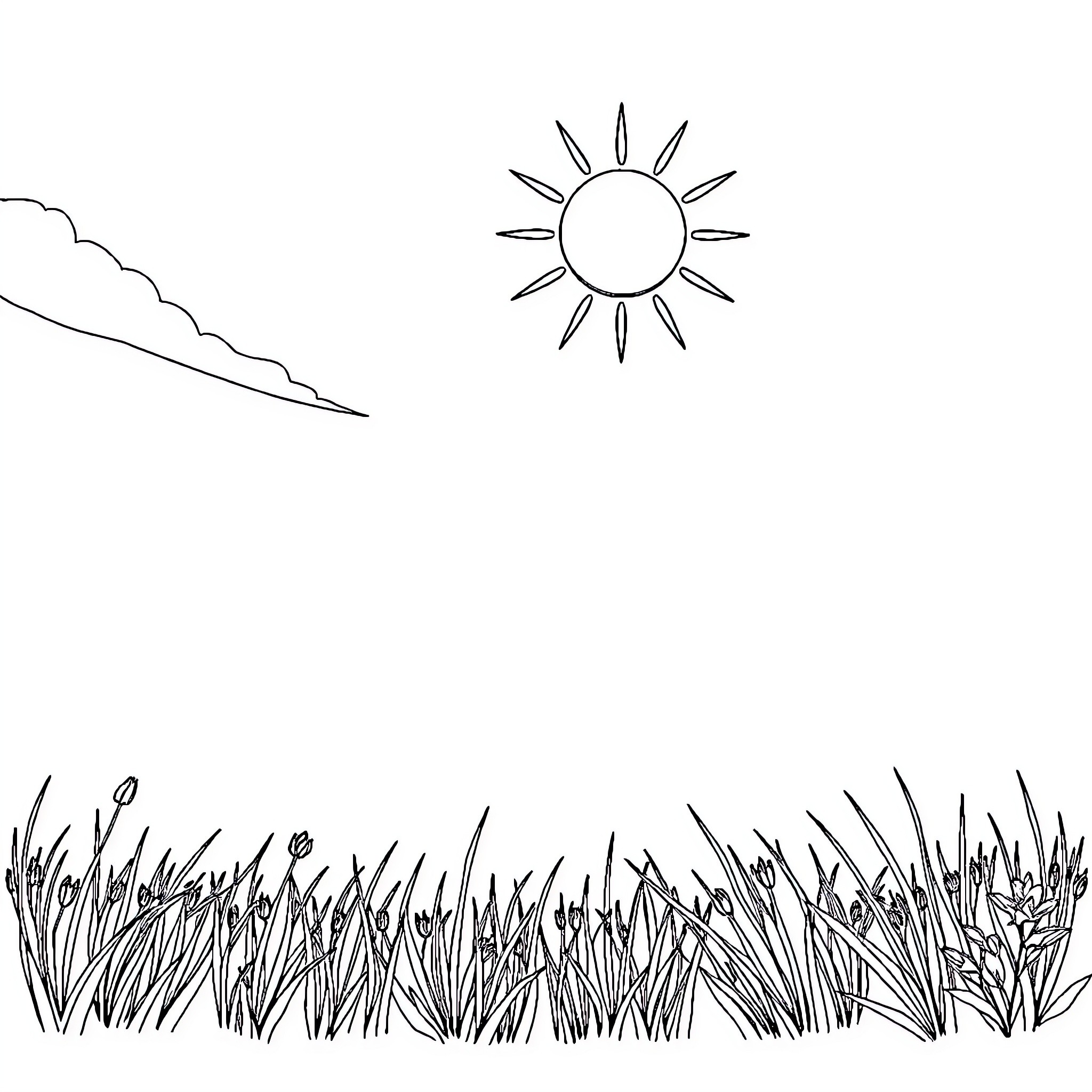 Summer day in the meadow Coloring Page (free black-and-white line drawing printable PDF for all, from beginners to advanced learners, including children, teens, adults, and seniors)