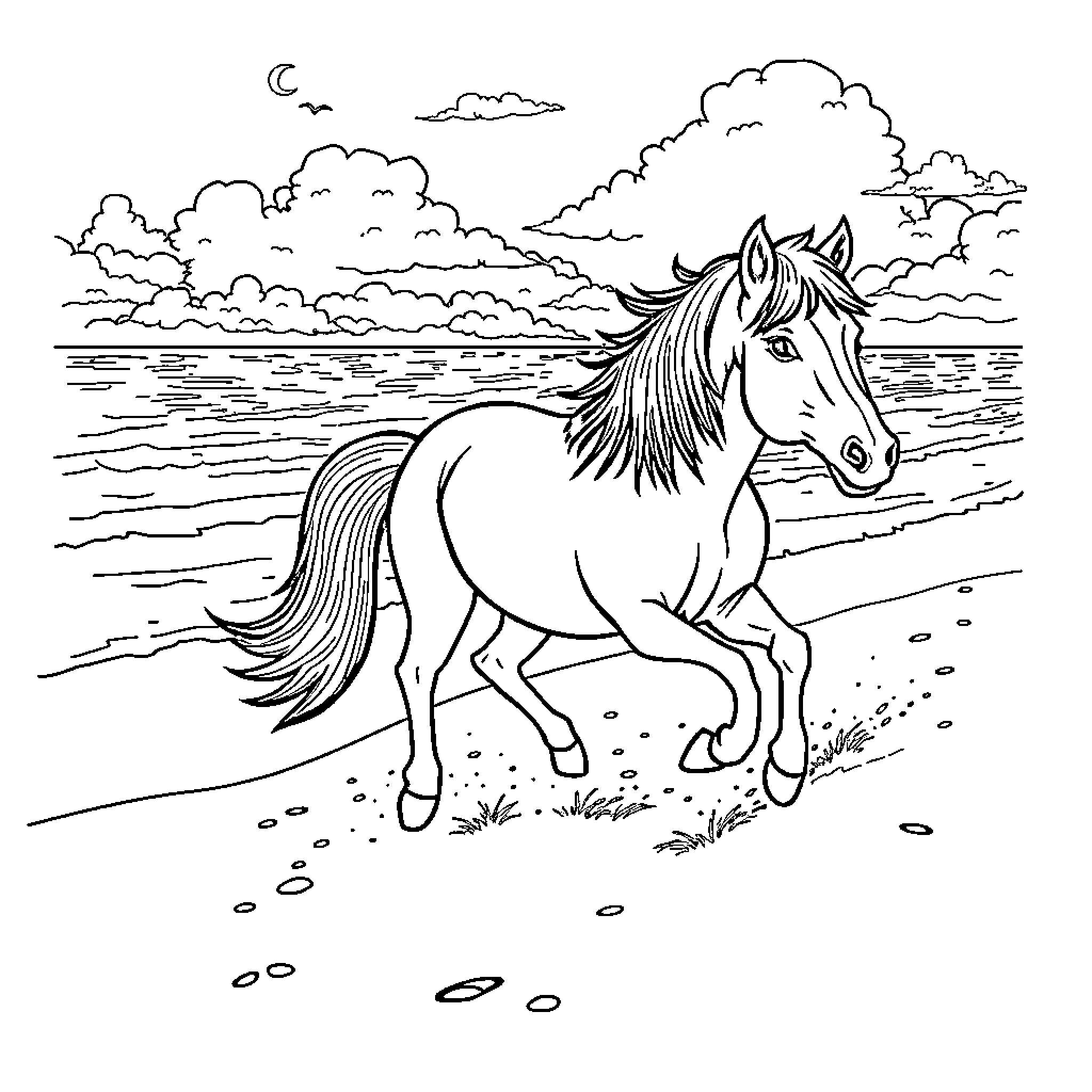 Pony trotting along the beach at sunset Coloring Page (free black-and-white line drawing printable PDF for all, from beginners to advanced learners, including children, teens, adults, and seniors)