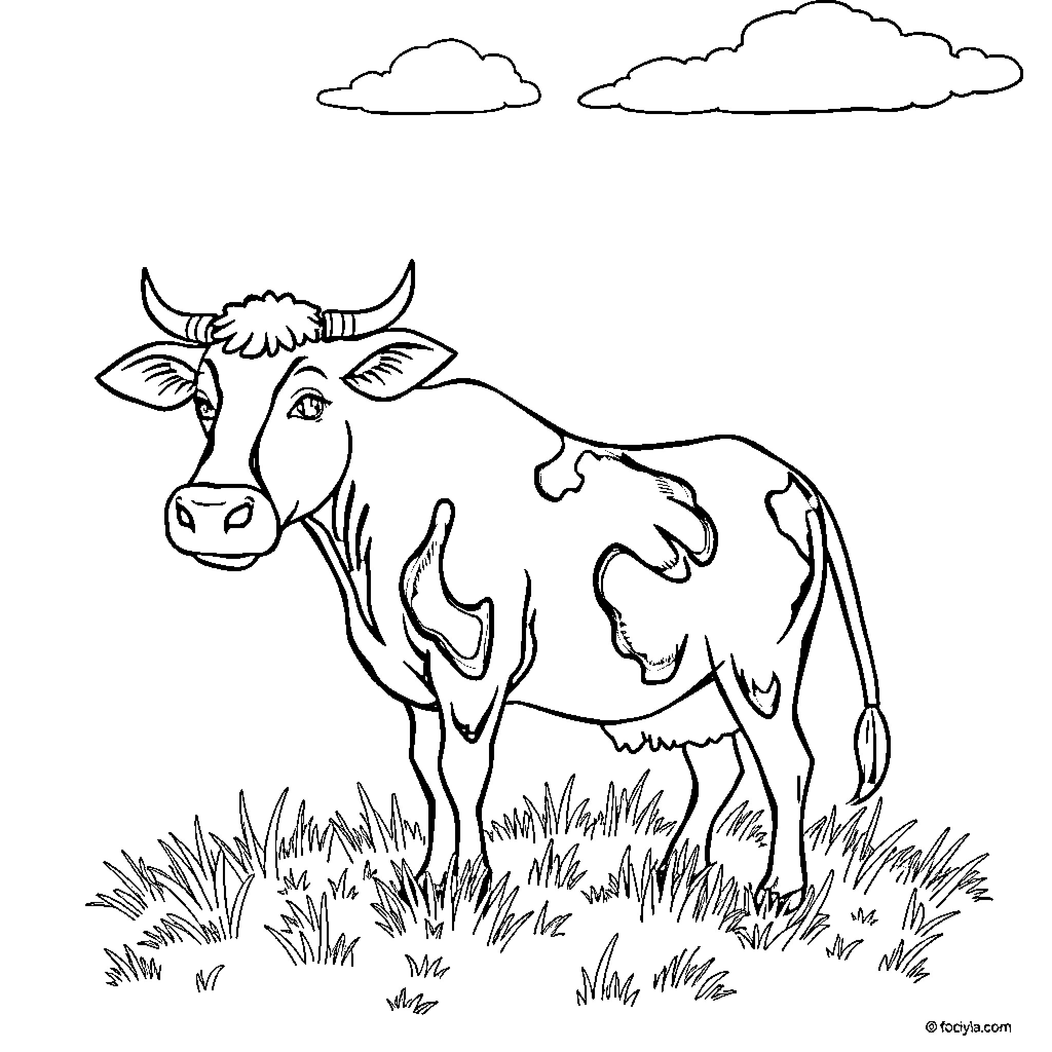 Cow standing in a field Coloring Page (free black-and-white line drawing printable PDF for all, from beginners to advanced learners, including children, teens, adults, and seniors)