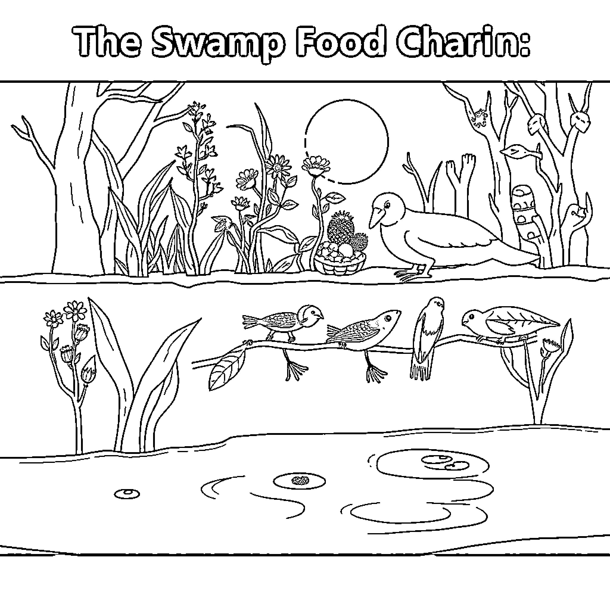 Swamp Food Chain: Plants, Animals, and Ecosystem Coloring Page (free black-and-white line drawing printable PDF for all, from beginners to advanced learners, including children, teens, adults, and seniors)