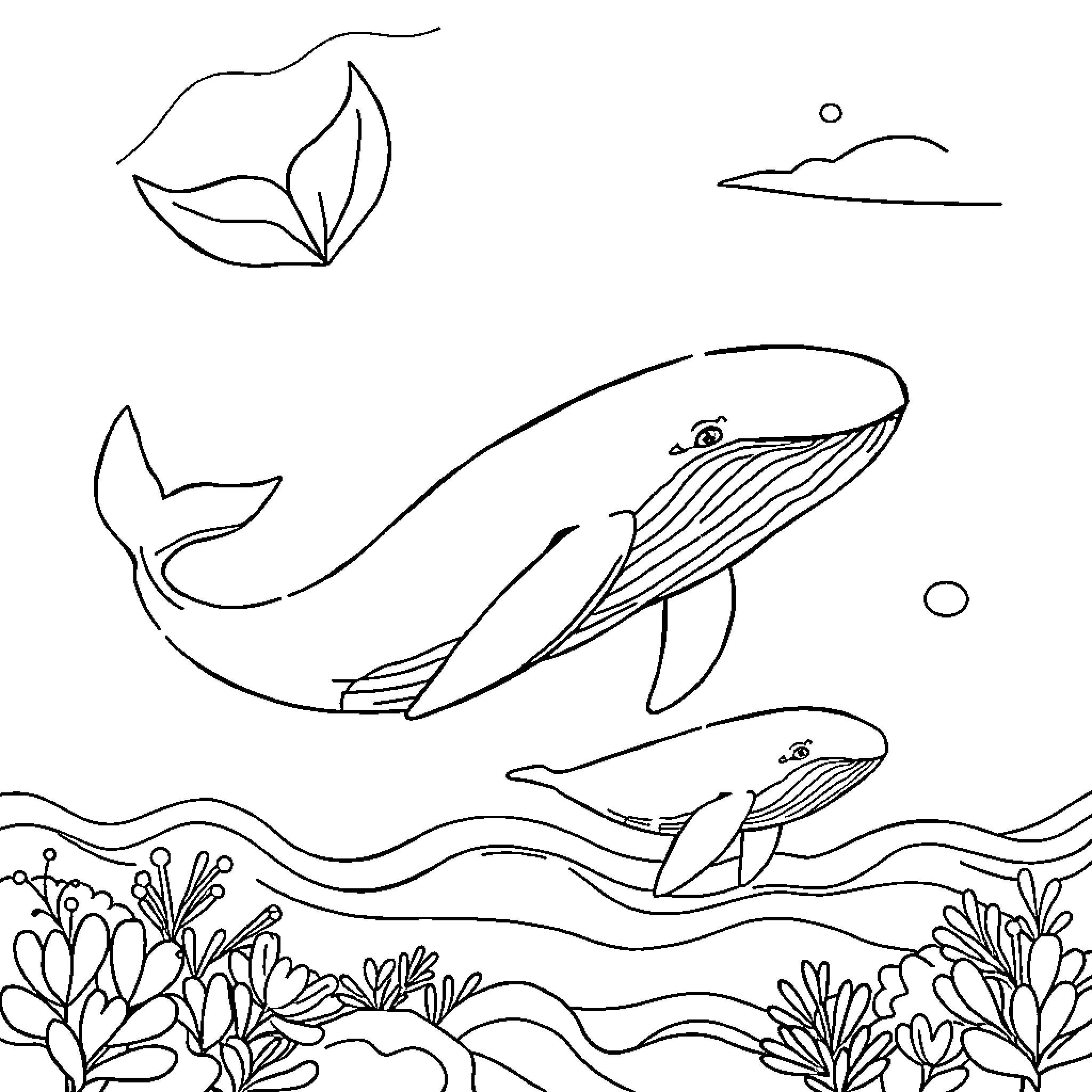 Whales swimming gracefully in the ocean Coloring Page (free black-and-white line drawing printable PDF for all, from beginners to advanced learners, including children, teens, adults, and seniors)