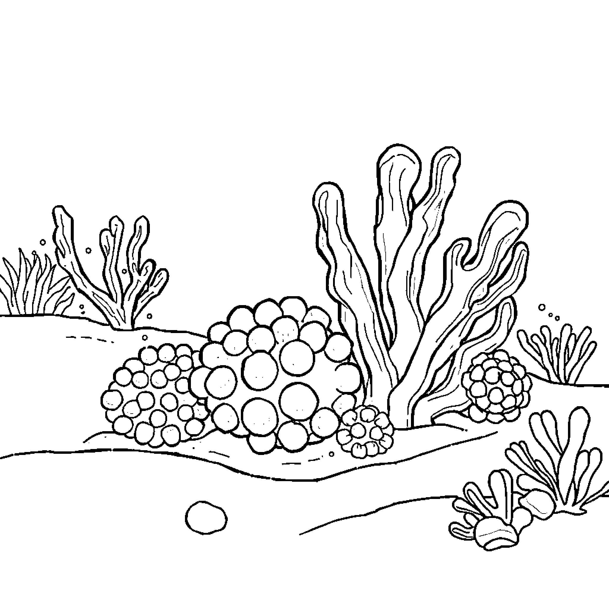 Sea Sponge underwater landscape Coloring Page (free black-and-white line drawing printable PDF for all, from beginners to advanced learners, including children, teens, adults, and seniors)