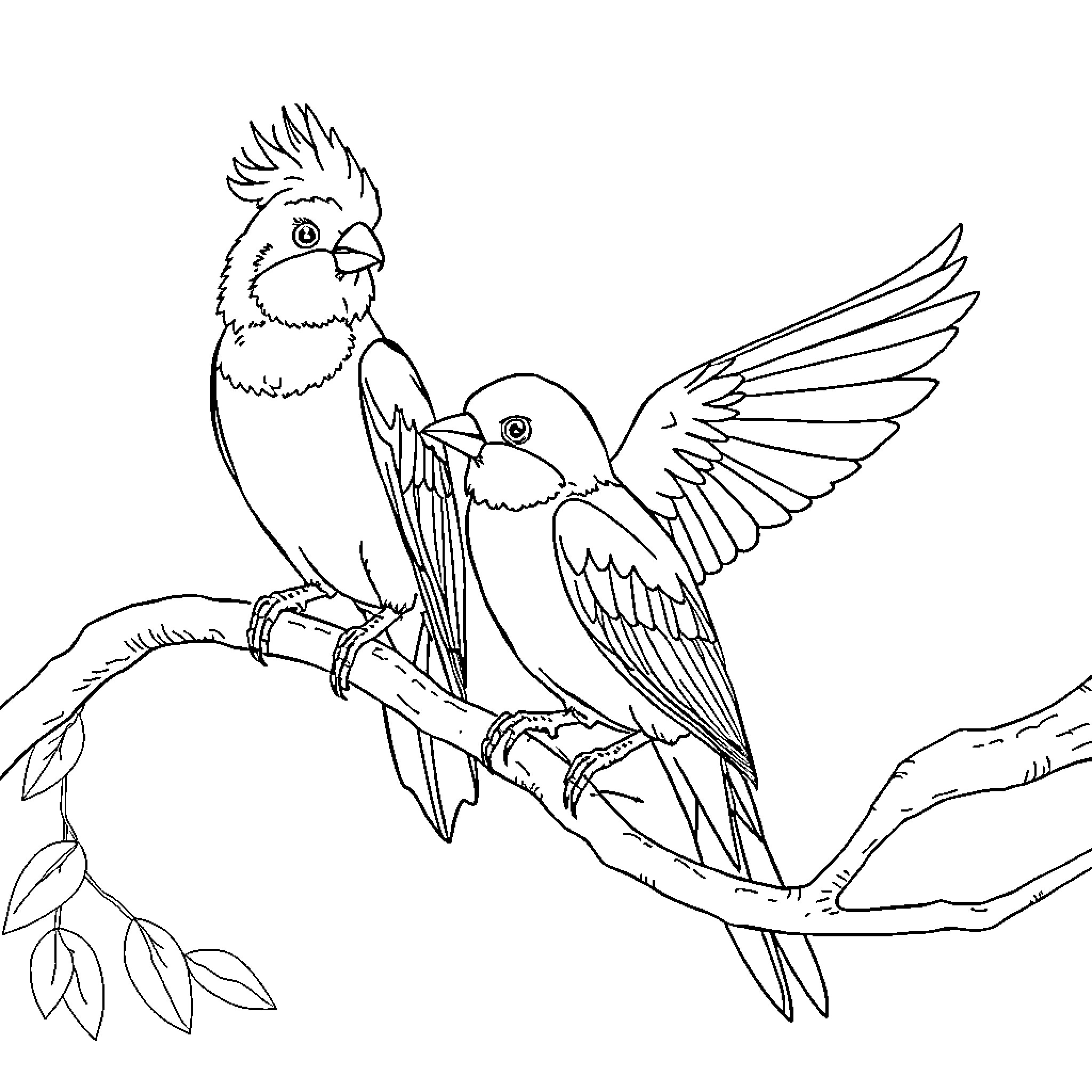 Titillating Tropical Birds on a Branch Coloring Page (free black-and-white line drawing printable PDF for all, from beginners to advanced learners, including children, teens, adults, and seniors)