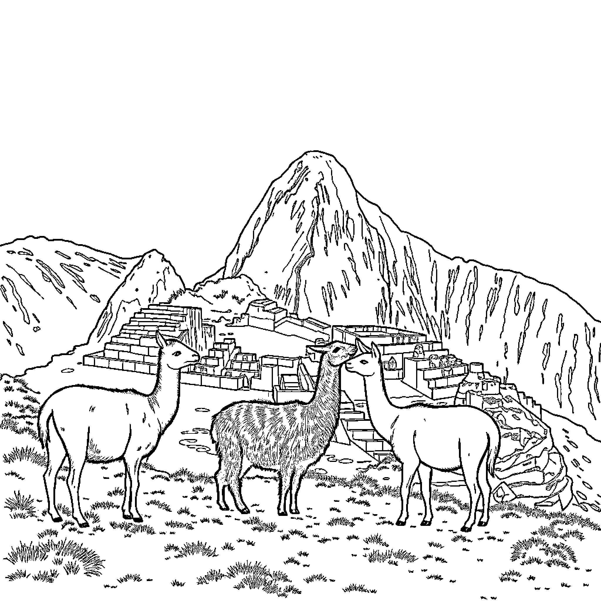 Llama grazing in the Andes mountains Coloring Page (free black-and-white line drawing printable PDF for all, from beginners to advanced learners, including children, teens, adults, and seniors)