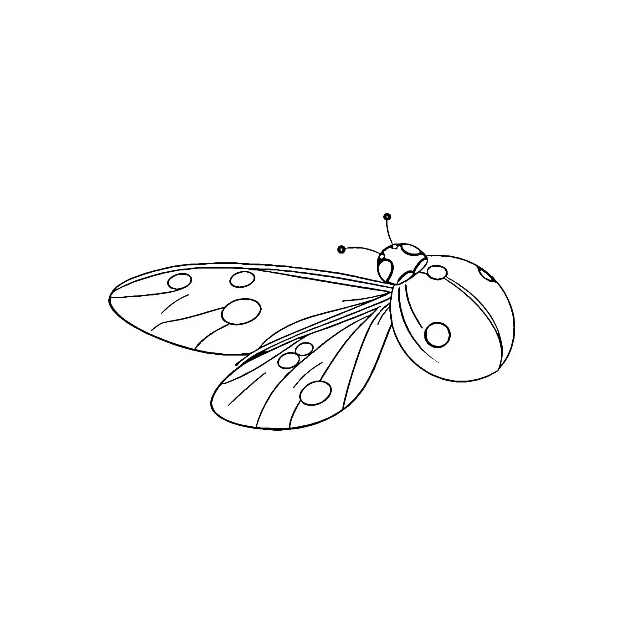 Ladybug gracefully taking flight Coloring Page (free black-and-white line drawing printable PDF for all, from beginners to advanced learners, including children, teens, adults, and seniors)