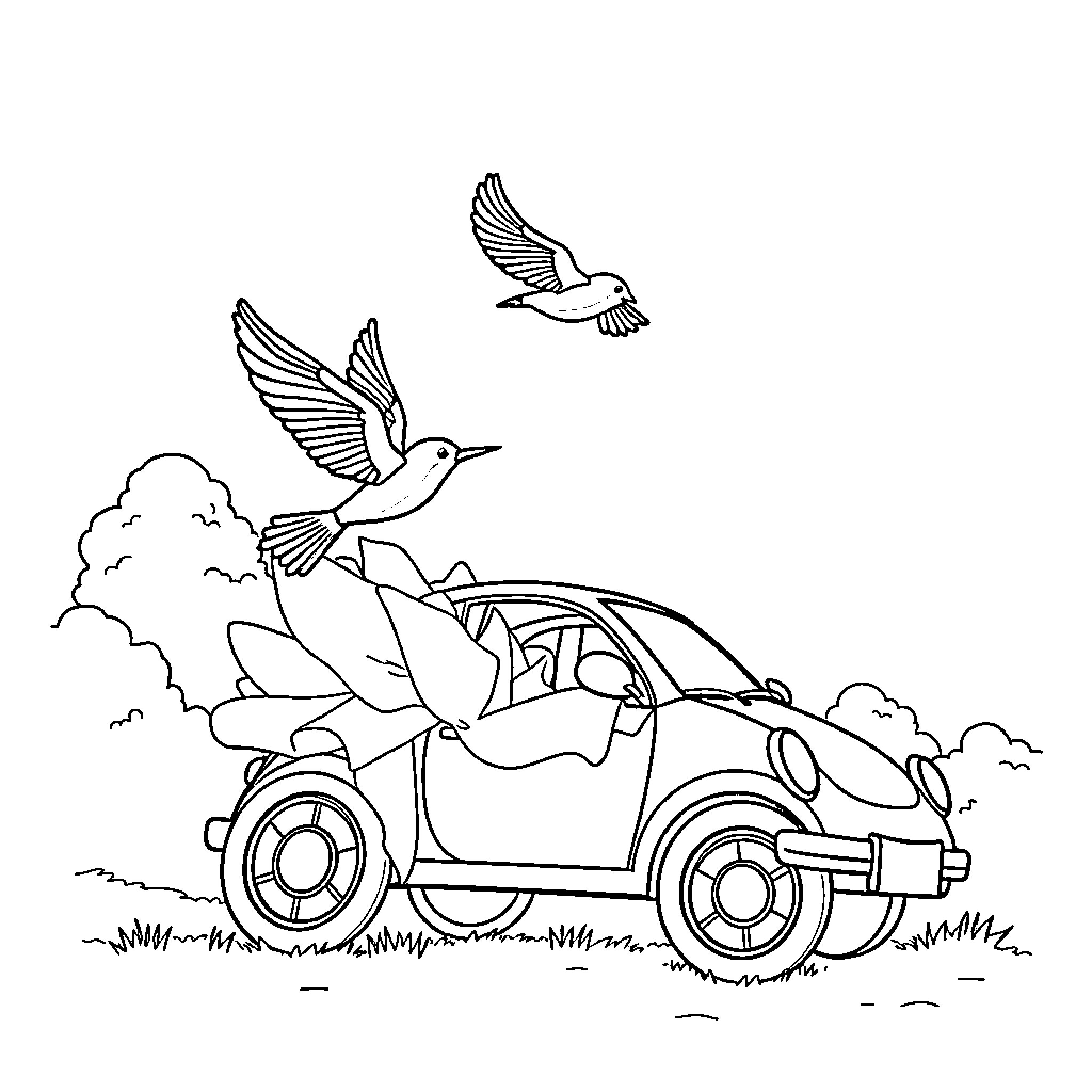 Bird flying over car in countryside Coloring Page (free black-and-white line drawing printable PDF for all, from beginners to advanced learners, including children, teens, adults, and seniors)