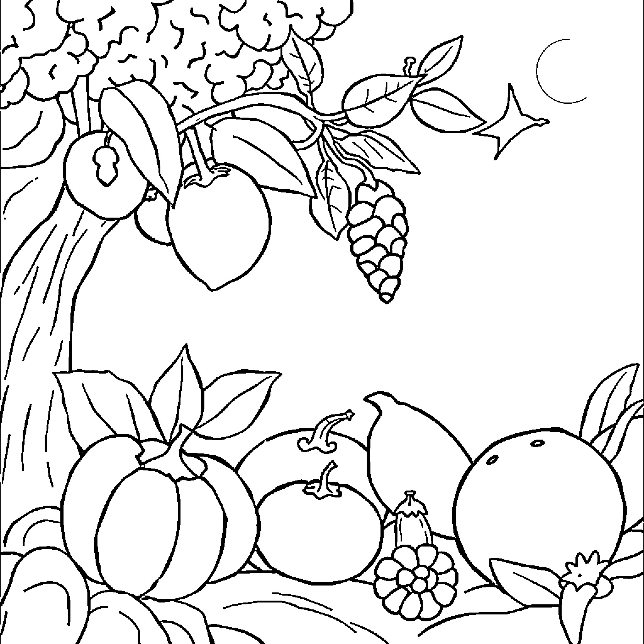 Fruit and flora in black and white illustration Coloring Page (free black-and-white line drawing printable PDF for all, from beginners to advanced learners, including children, teens, adults, and seniors)