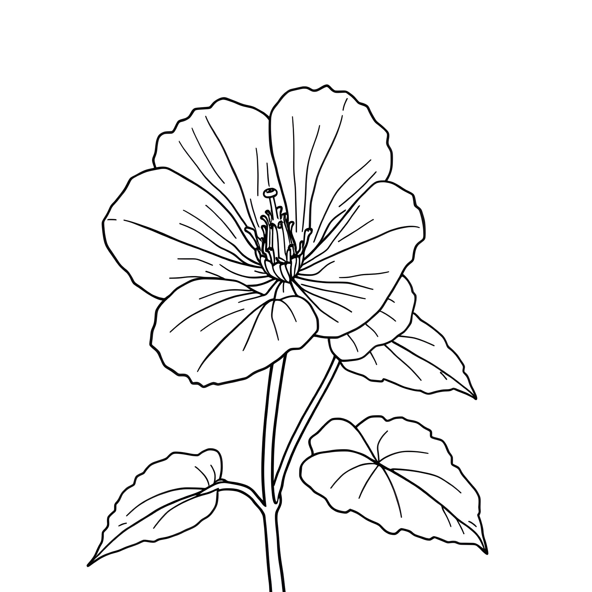 Nasturtium blooming with intricate petals Coloring Page (free black-and-white line drawing printable PDF for all, from beginners to advanced learners, including children, teens, adults, and seniors)