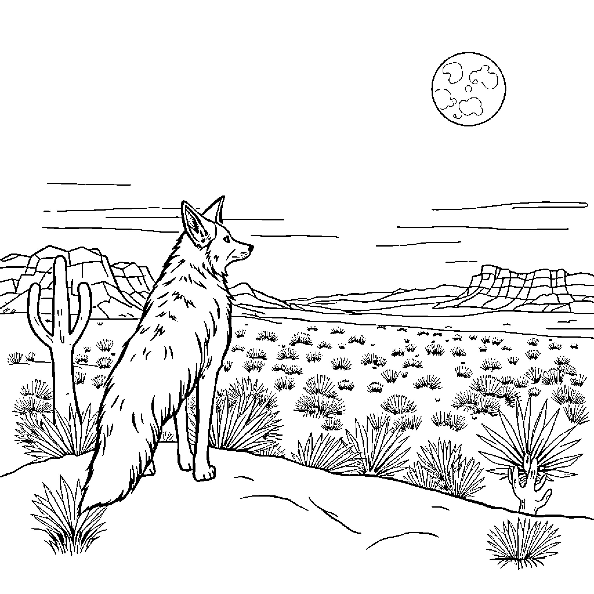 Coyote in the desert landscape Coloring Page (free black-and-white line drawing printable PDF for all, from beginners to advanced learners, including children, teens, adults, and seniors)