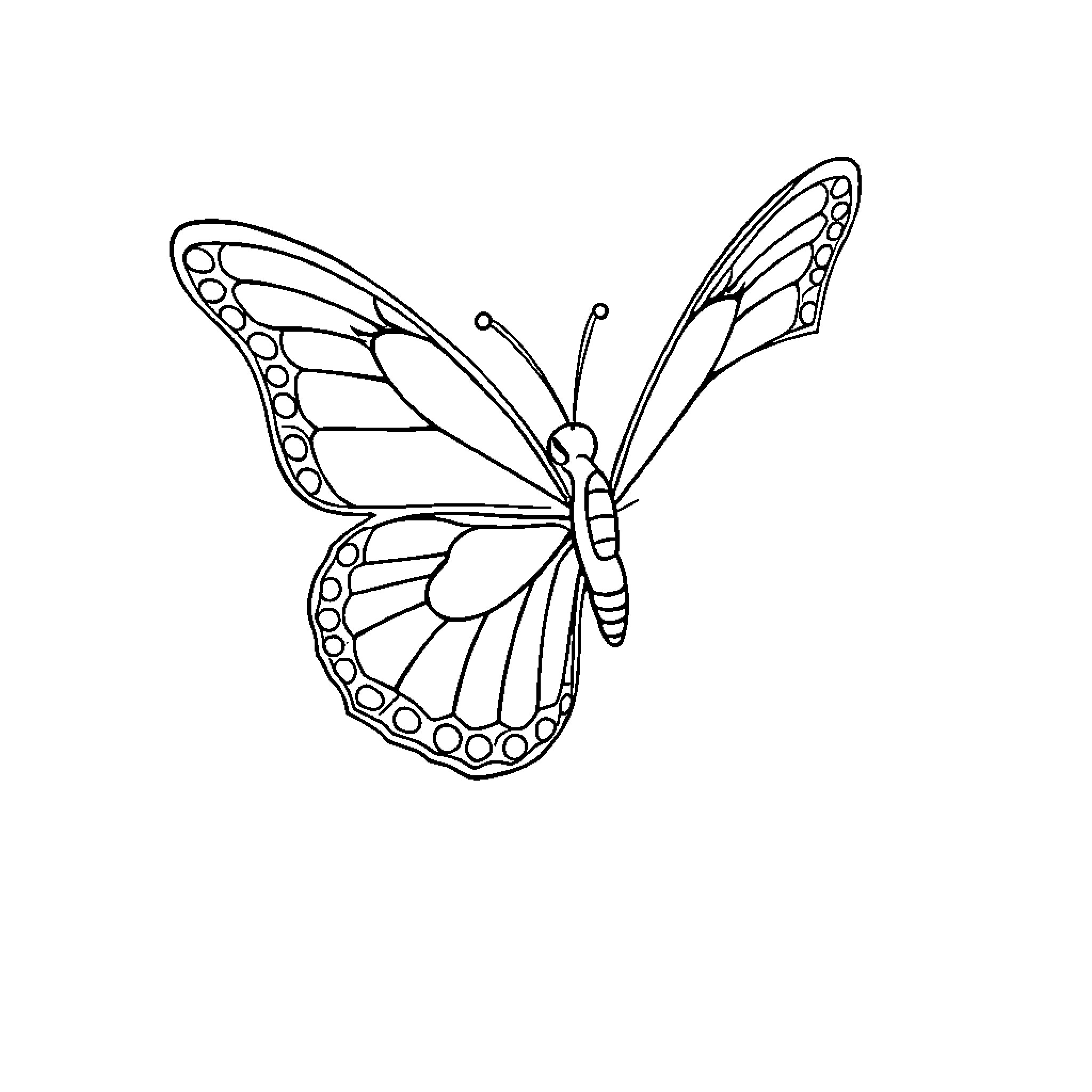 Butterfly taking flight Coloring Page (free black-and-white line drawing printable PDF for all, from beginners to advanced learners, including children, teens, adults, and seniors)