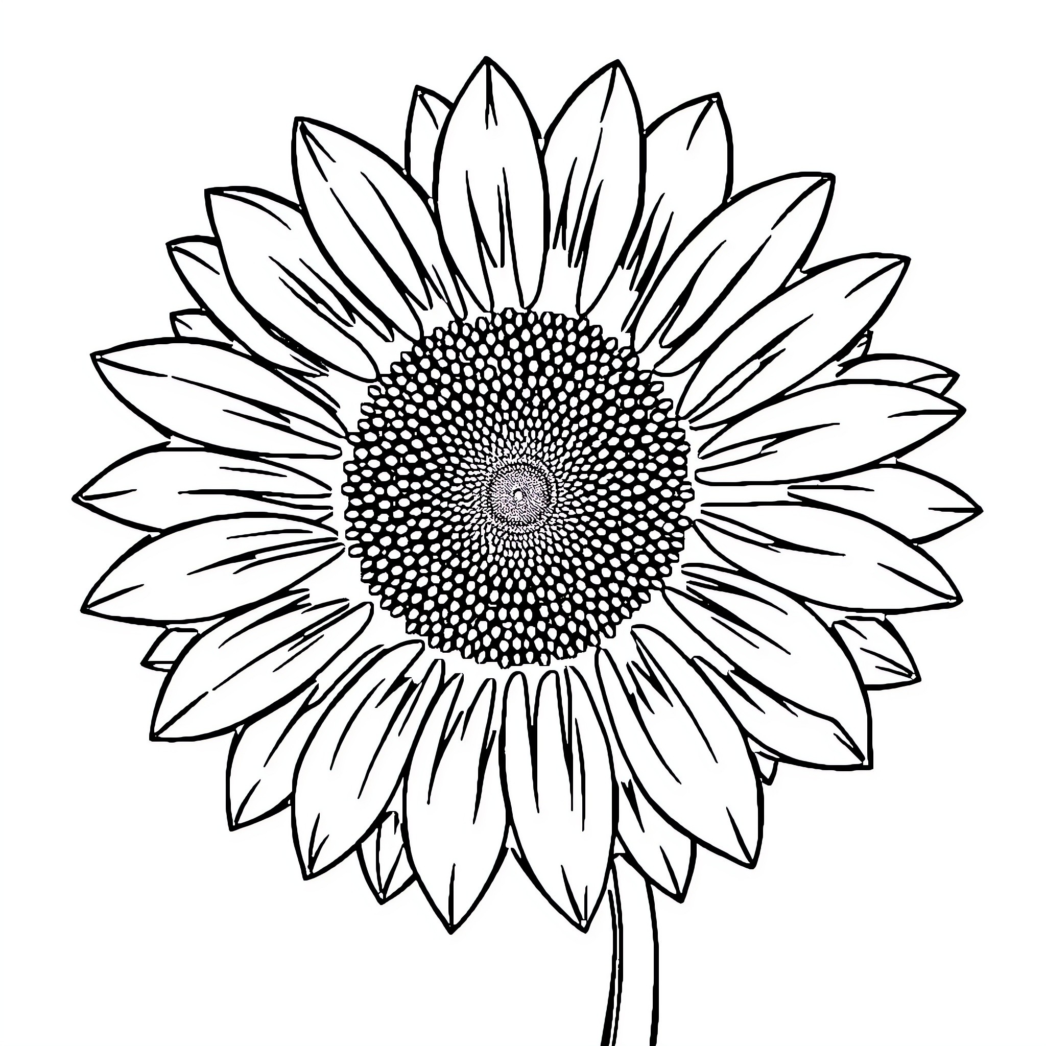 Poppy sunflower in bloom Coloring Page (free black-and-white line drawing printable PDF for all, from beginners to advanced learners, including children, teens, adults, and seniors)