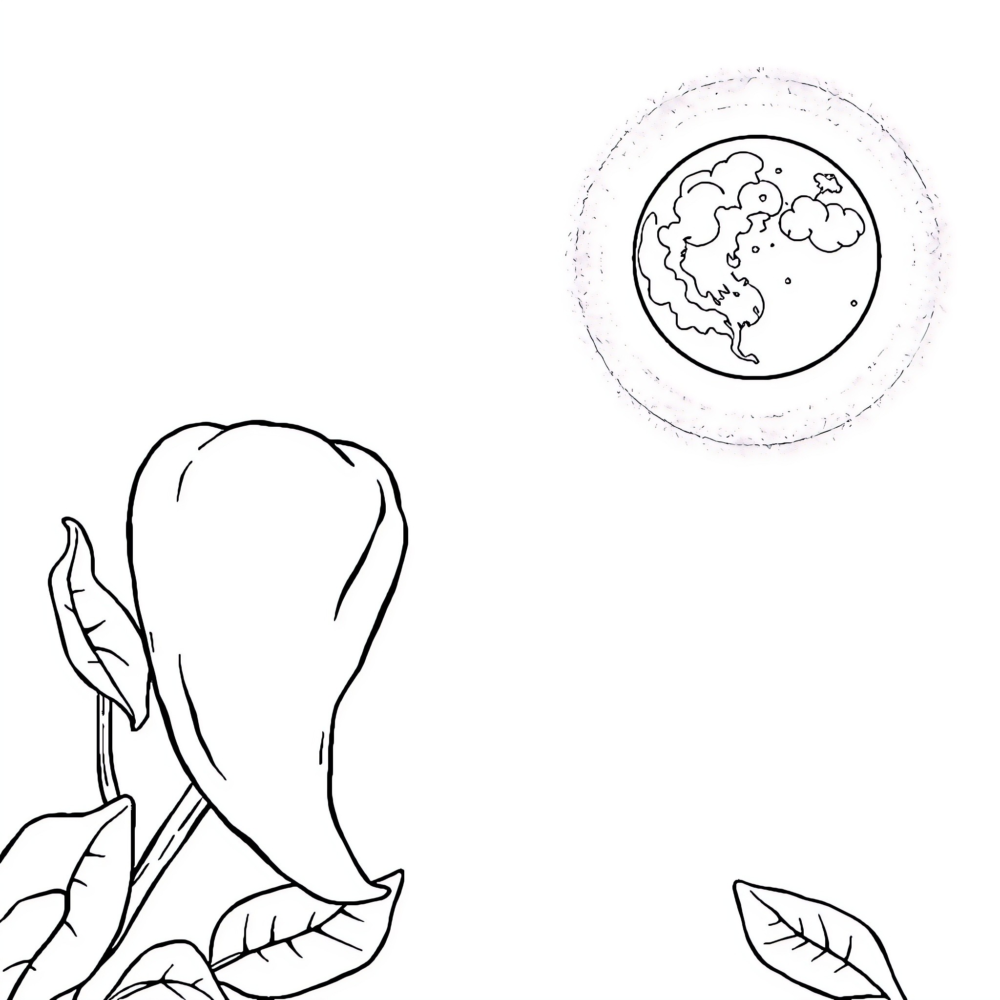 Chilipepper Under Moonlit Night Coloring Page (free black-and-white line drawing printable PDF for all, from beginners to advanced learners, including children, teens, adults, and seniors)