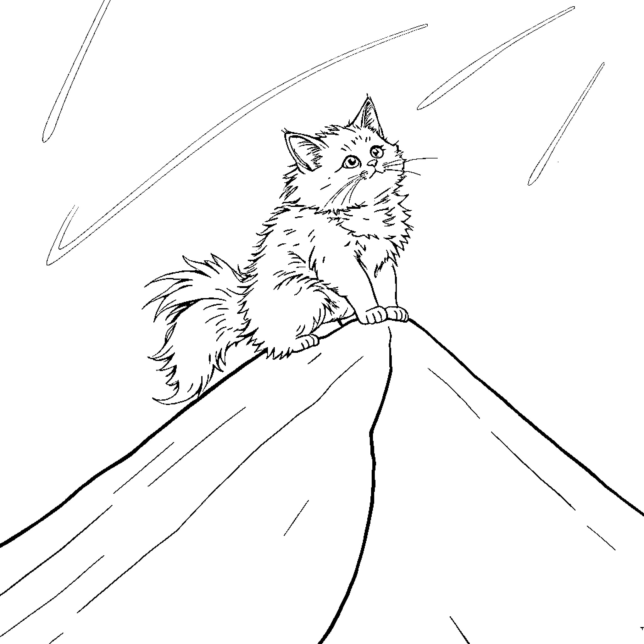 Cat on a rocky mountain peak Coloring Page (free black-and-white line drawing printable PDF for all, from beginners to advanced learners, including children, teens, adults, and seniors)
