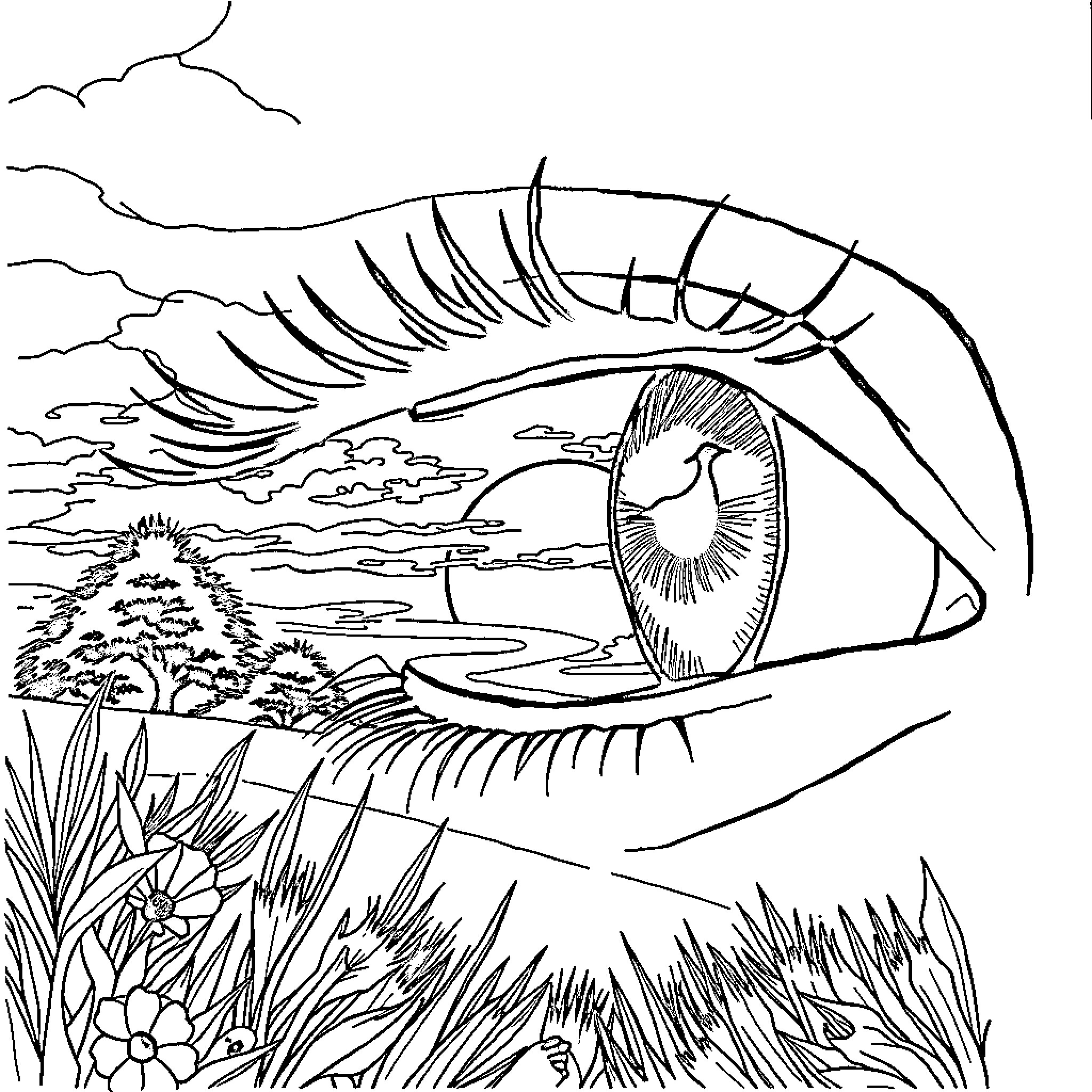 Eye reflecting the serene landscape Coloring Page (free black-and-white line drawing printable PDF for all, from beginners to advanced learners, including children, teens, adults, and seniors)