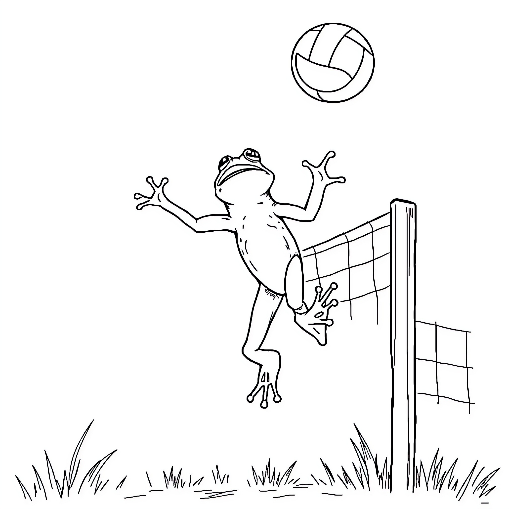 Frog leaping to spike volleyball above net Coloring Page (free black-and-white line drawing printable PDF for all, from beginners to advanced learners, including children, teens, adults, and seniors)