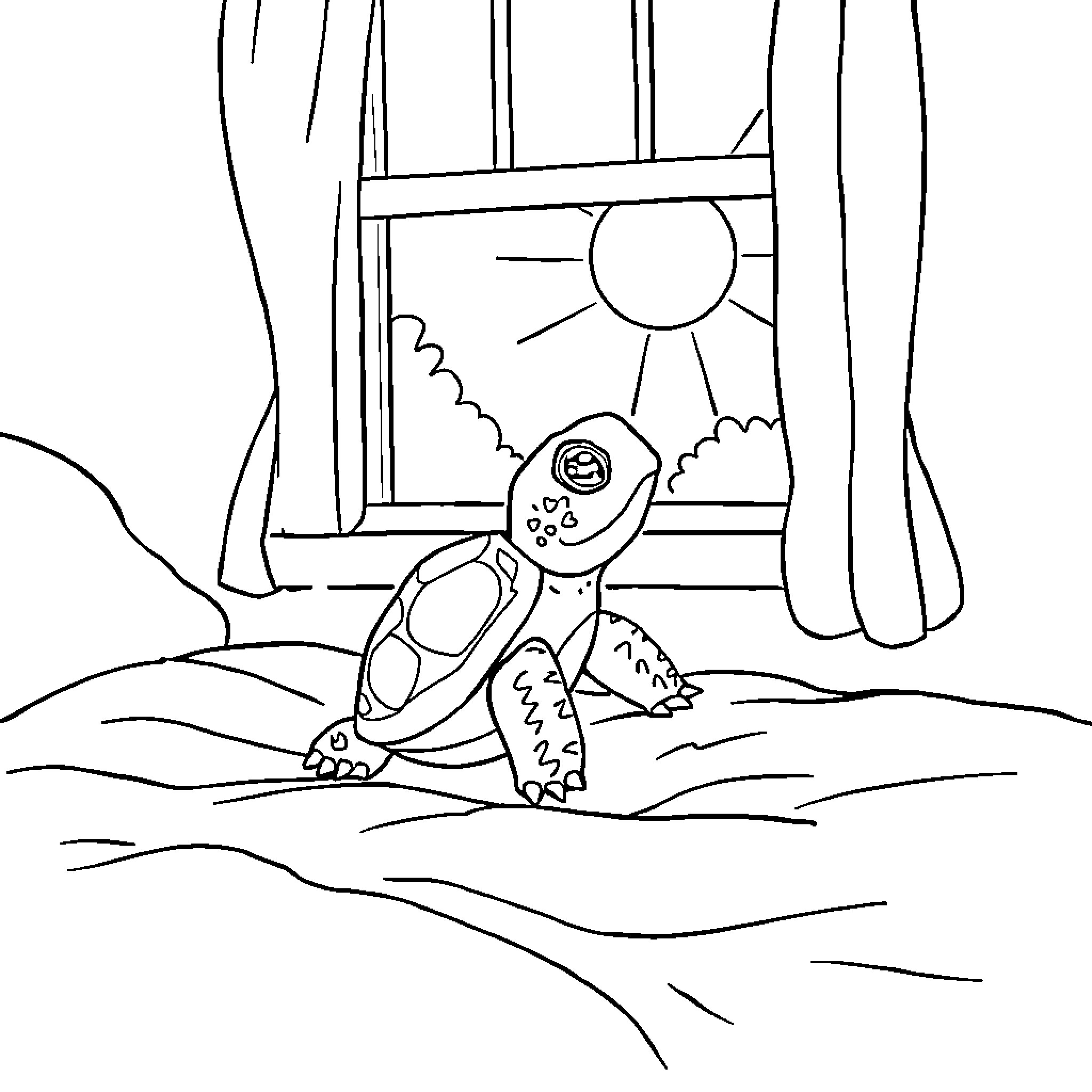 Turtle enjoying the sunny day by the window Coloring Page (free black-and-white line drawing printable PDF for all, from beginners to advanced learners, including children, teens, adults, and seniors)