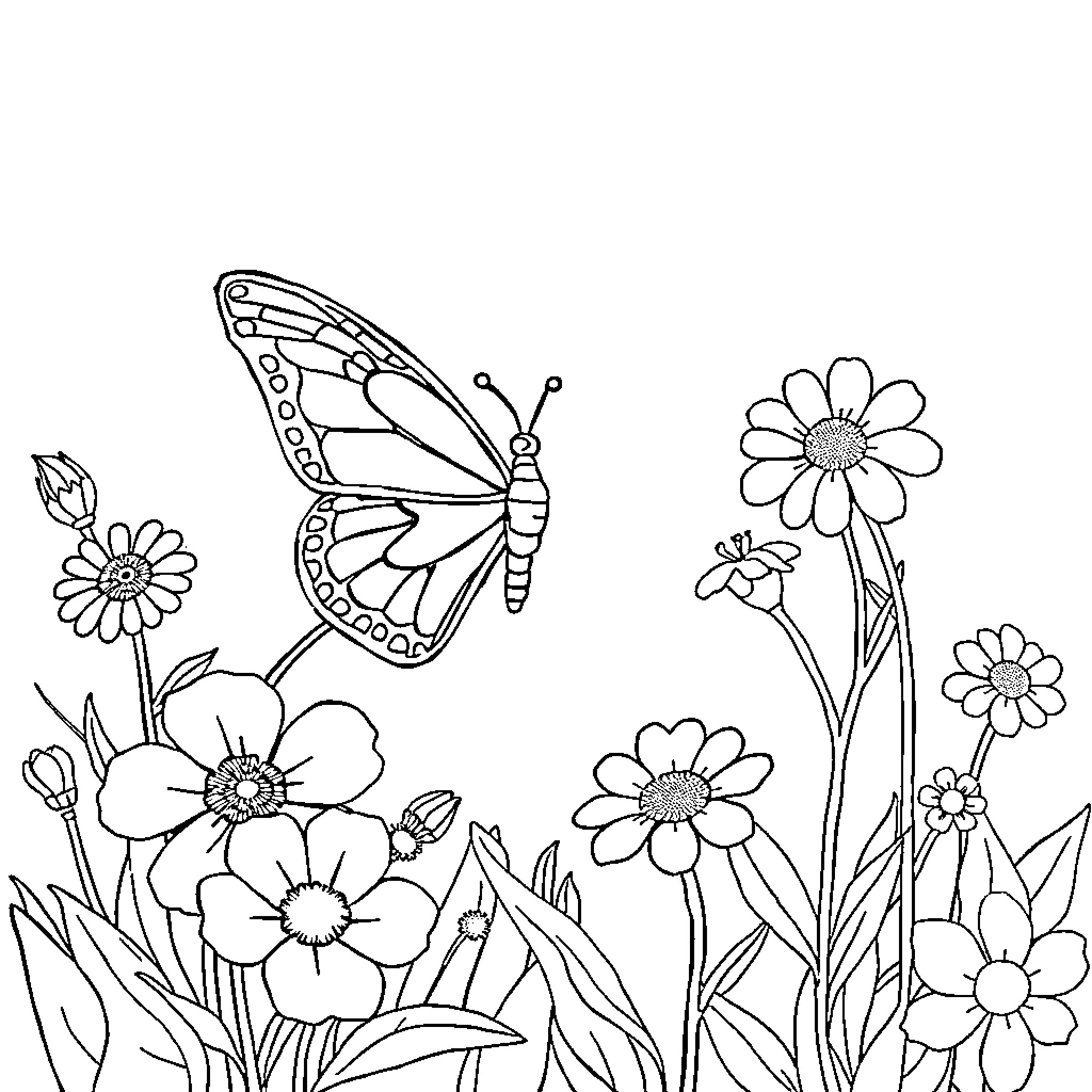 Butterfly visiting a garden of flowers Coloring Page (free black-and-white line drawing printable PDF for all, from beginners to advanced learners, including children, teens, adults, and seniors)